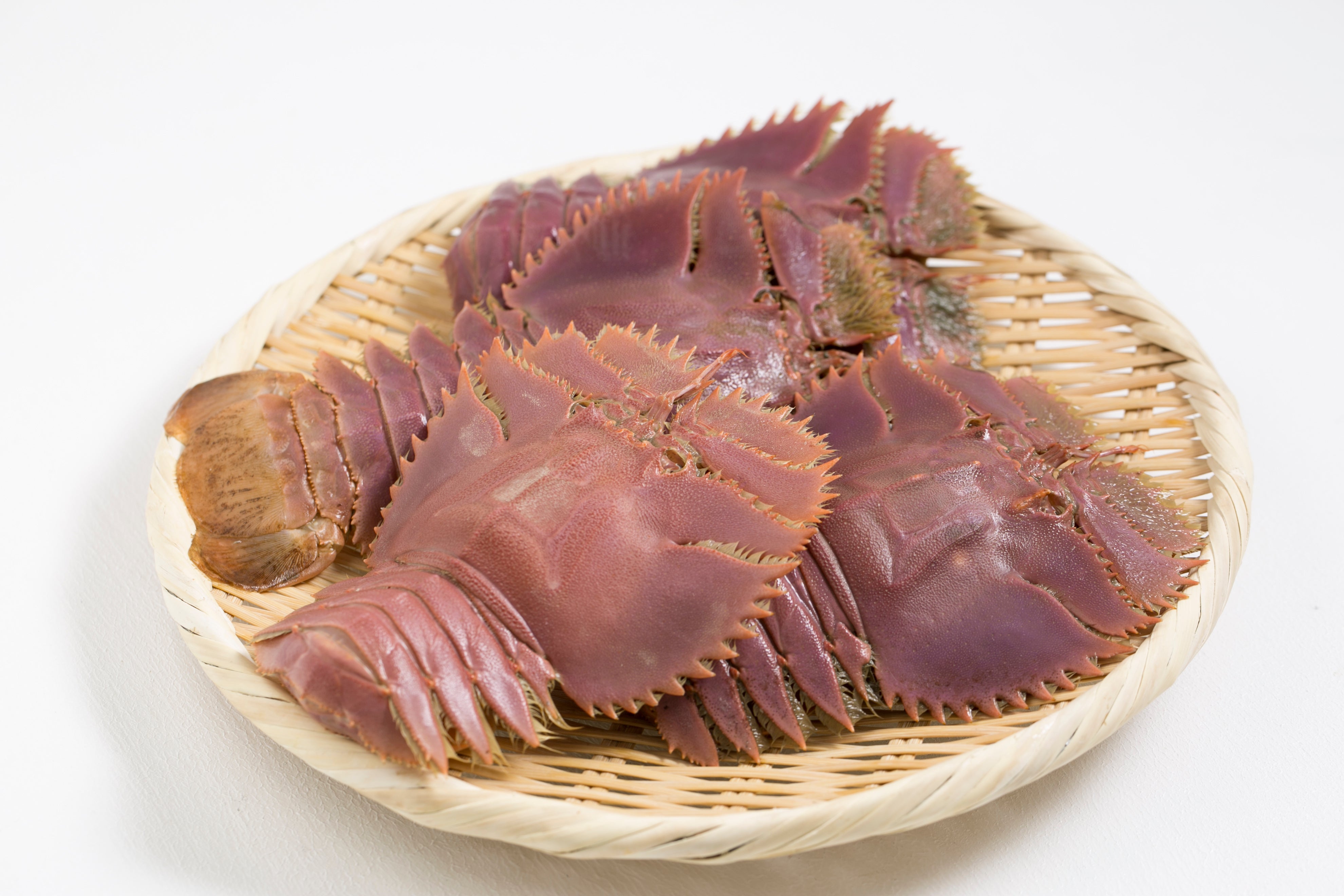 【豊洲市場直送】『"活"ウチワエビ』 約1kg(5〜7尾)冷蔵
