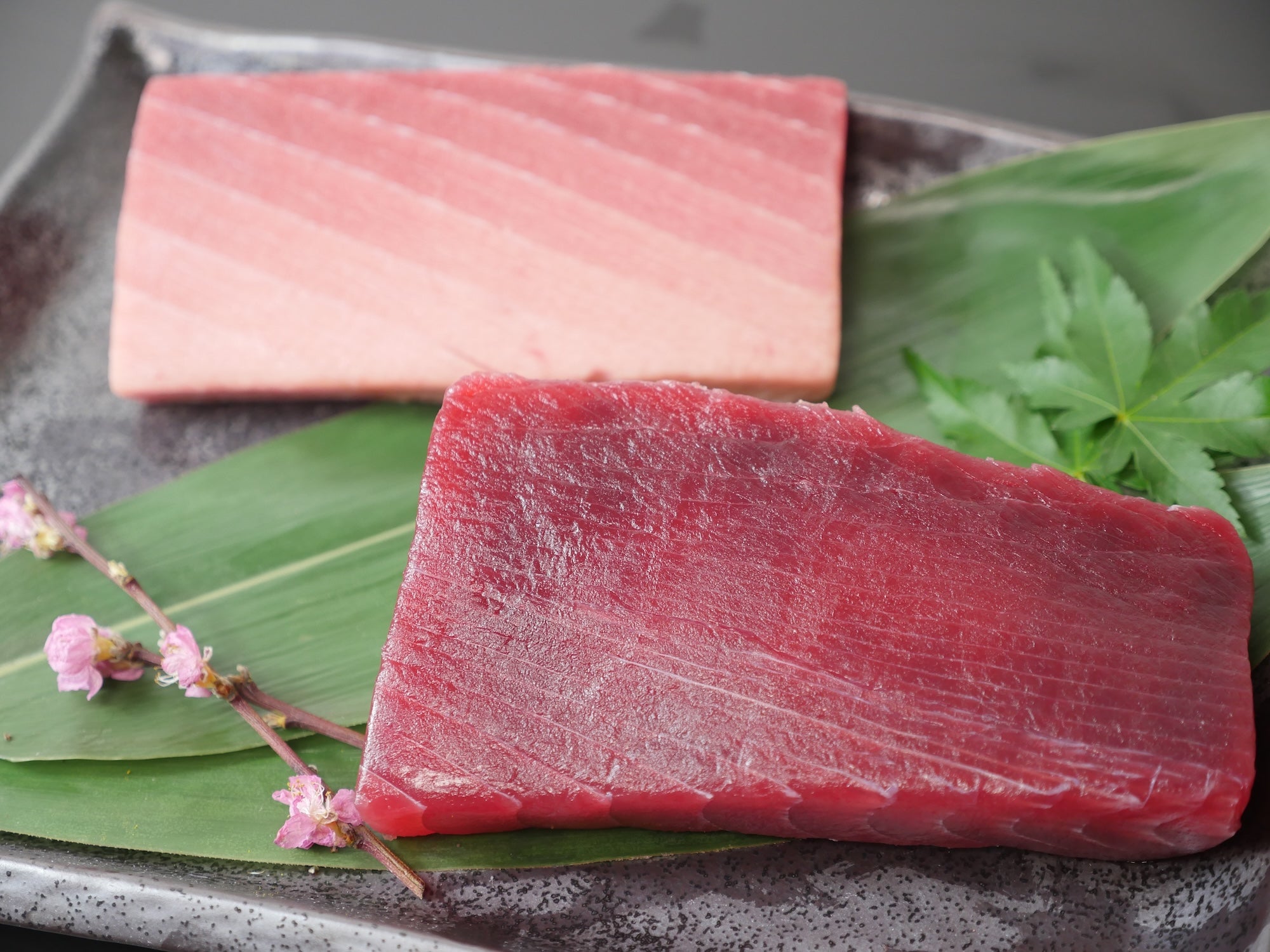 マグロ赤身 中とろ すずらん 一本買い】天然ミナミマグロ 赤身・中トロセットたっぷり約1キロ(250g