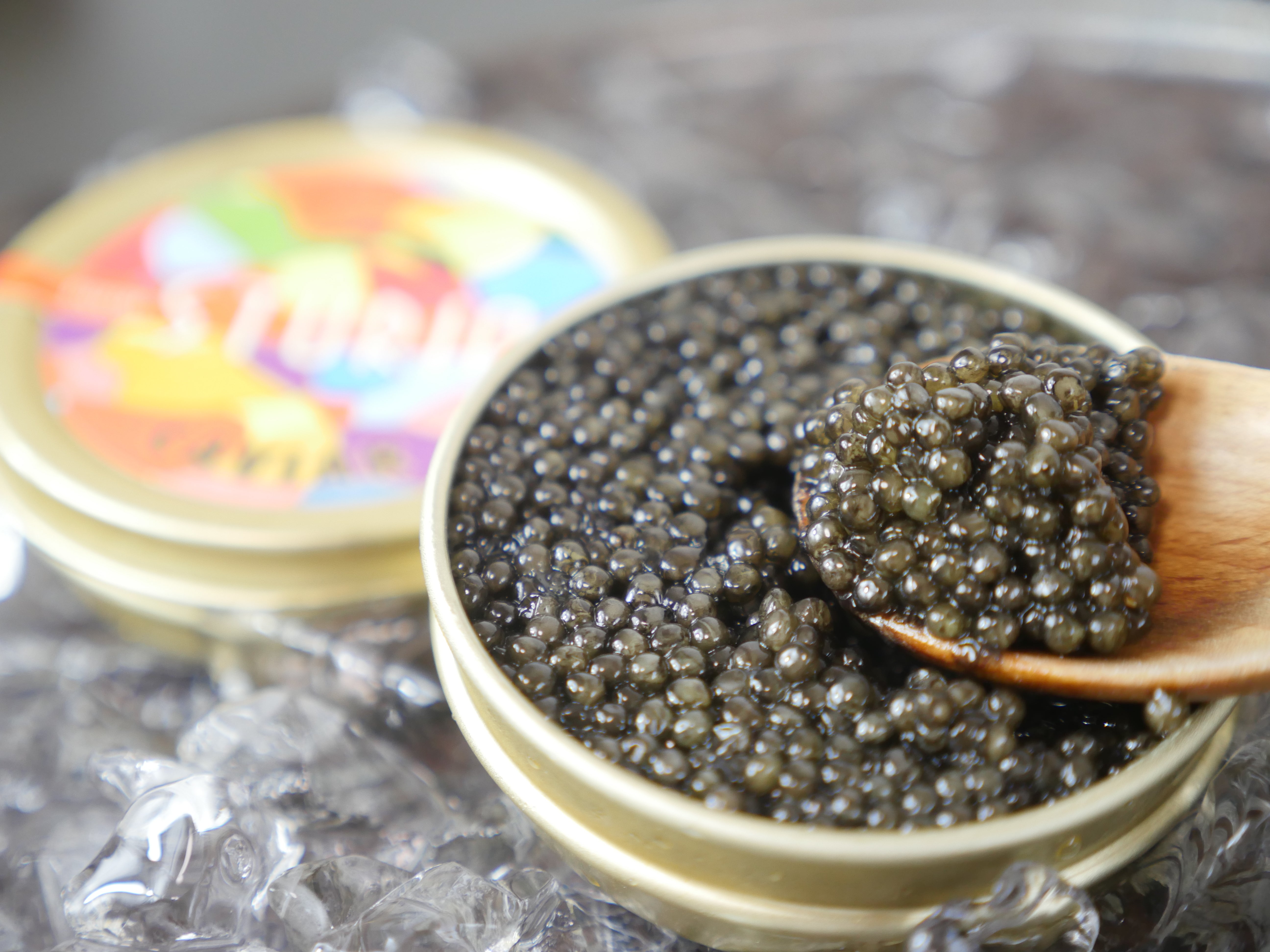 【世界最高峰キャビアSTURIA】フランス産フレッシュキャビア(非加熱)オシェトラ50g・冷蔵