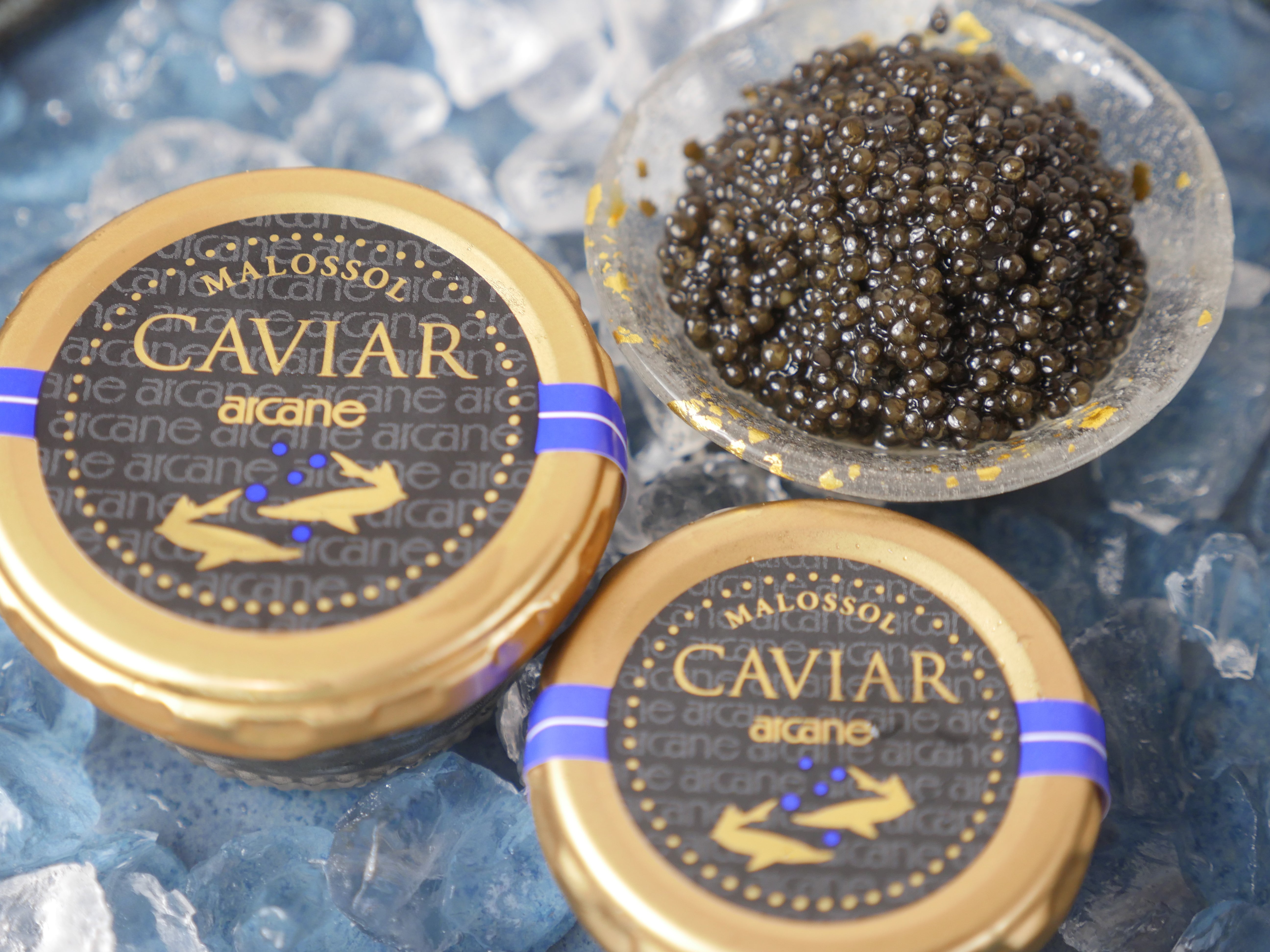STURGEON フランス産パストライズキャビア(低温殺菌)18g or 50g・冷蔵