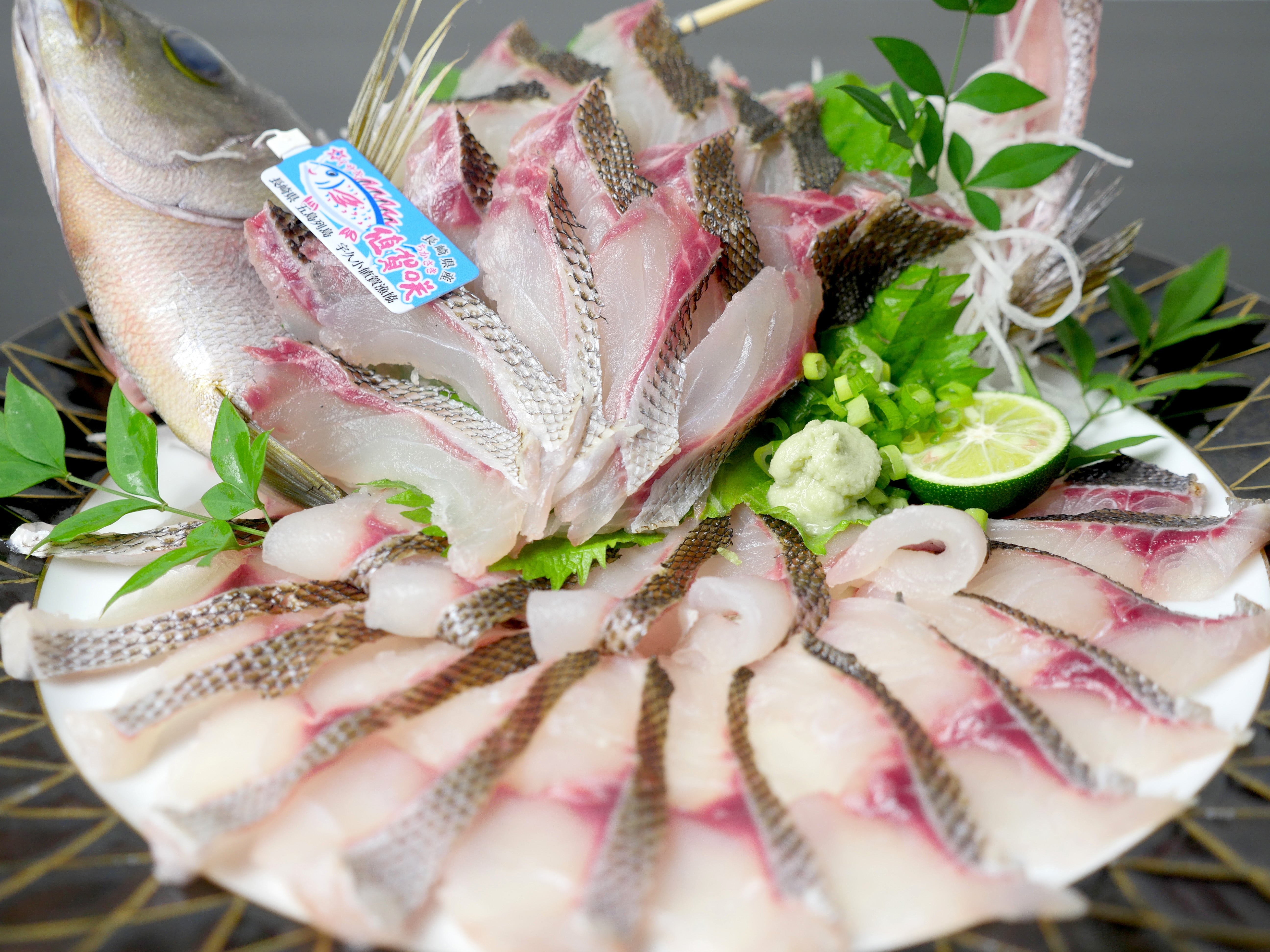 【豊洲直送市場】旬の『値賀咲イサキ700g~800g1尾』長崎県小値賀産・冷蔵