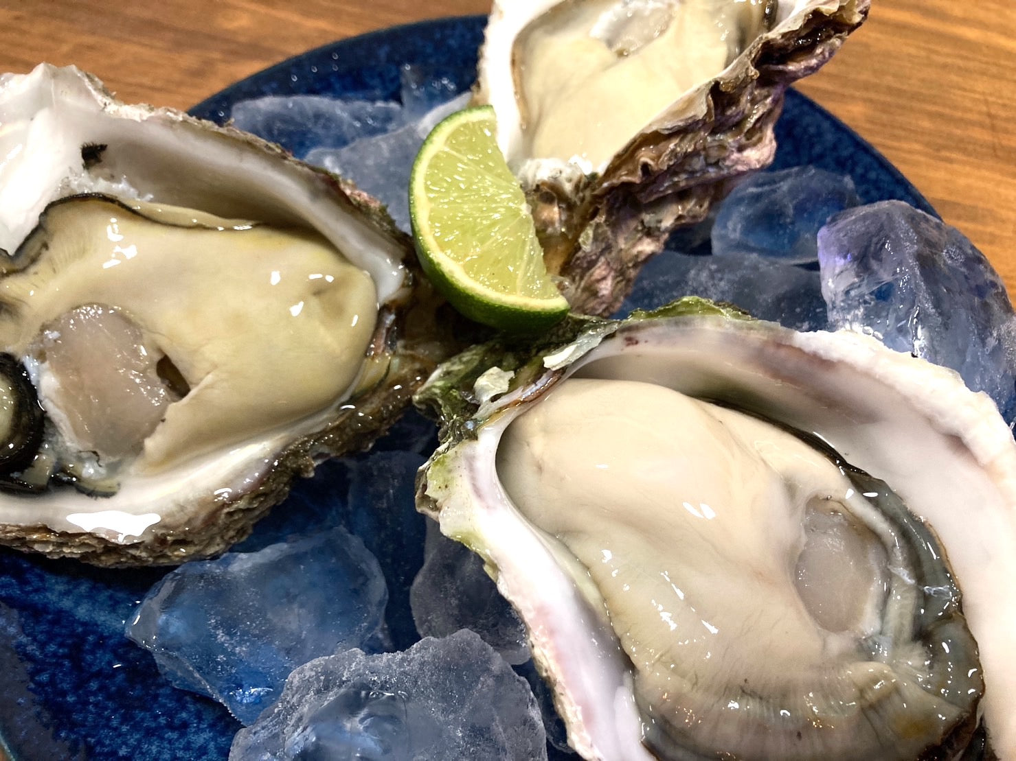 【豊洲市場直送】旬の岩牡蠣の食べ比べセット(3種類・計3個)