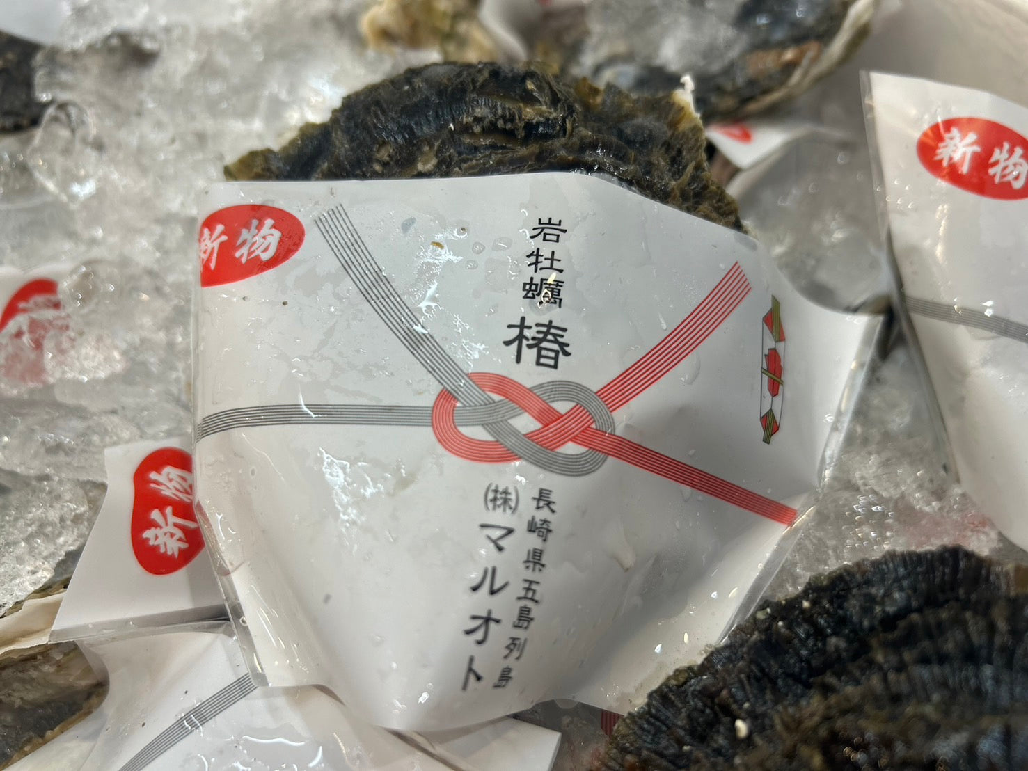 【豊洲市場直送】『岩牡蠣 椿(つばき)』長崎県五島列島産 4個 200g前後 生食用・冷蔵