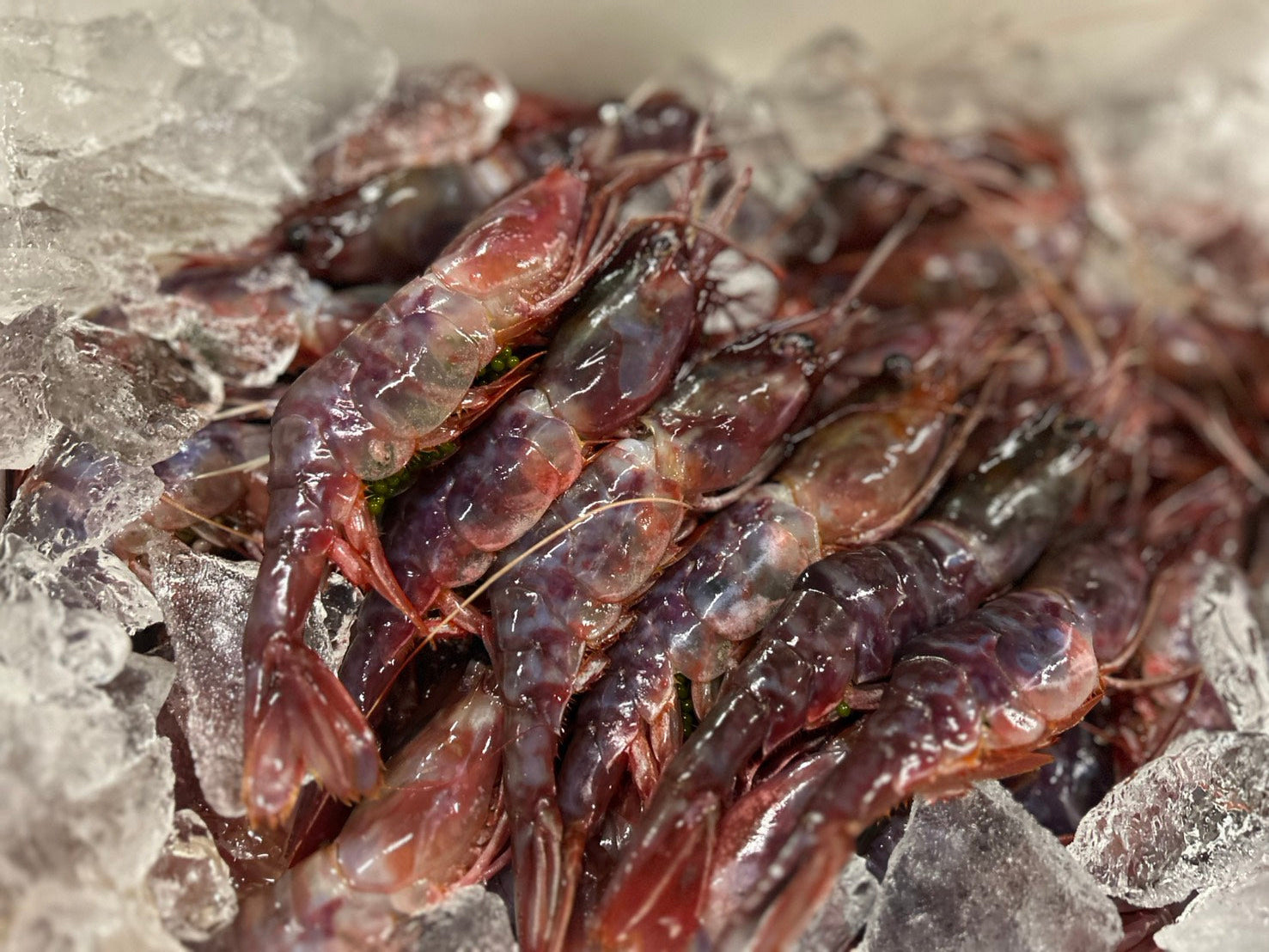 【急速冷凍】大サイズ!幻の海老"ぶどうえび"最も希少な海老をご自宅で。約300g(1尾約60g・5尾) ・冷凍