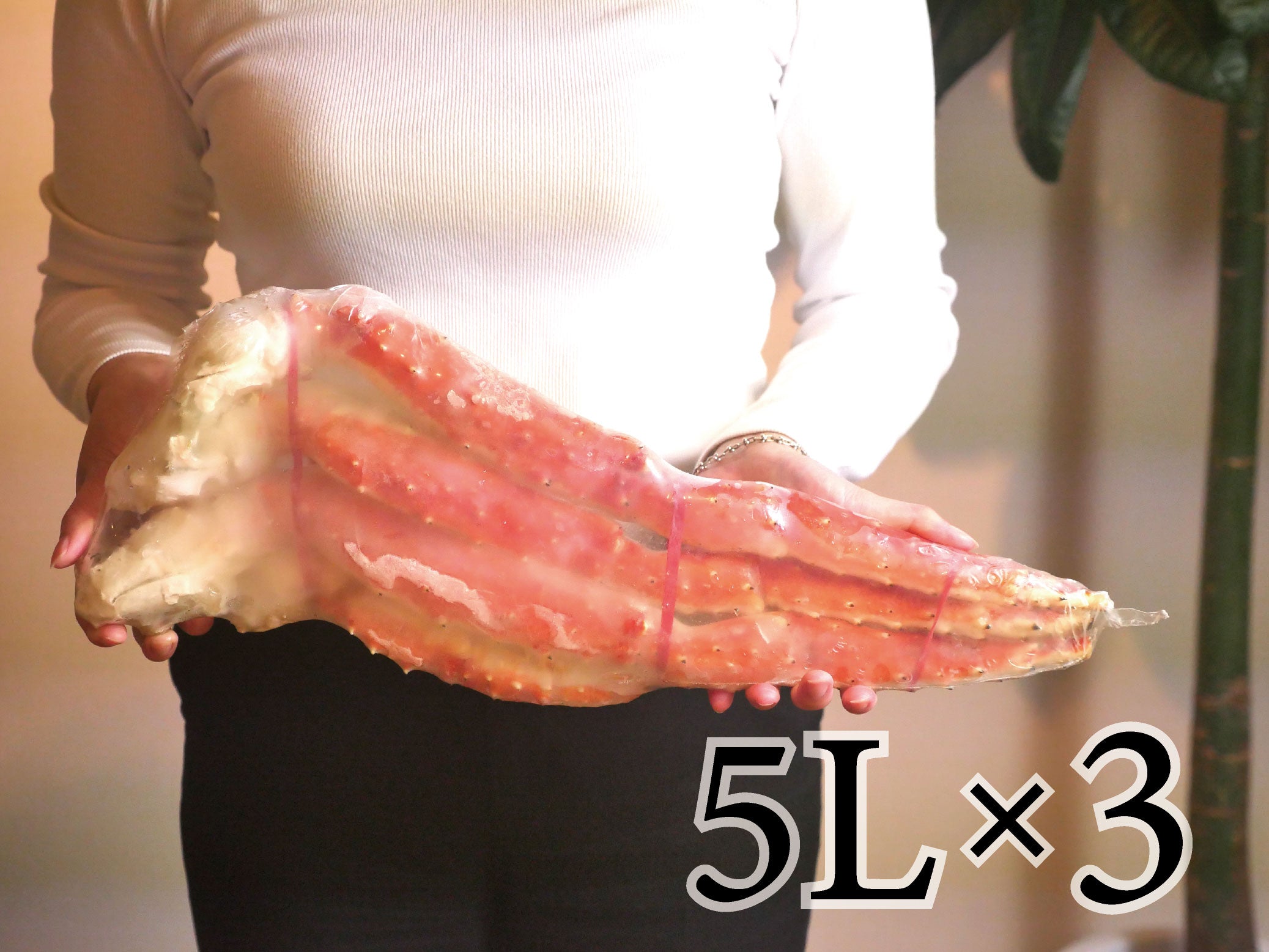 【豊洲市場直送】"特大”5Lor7Lタラバガニ3肩(グロス1kg/解凍後800g×3 or グロス1.5kg /解凍後1.2kg×)・冷凍