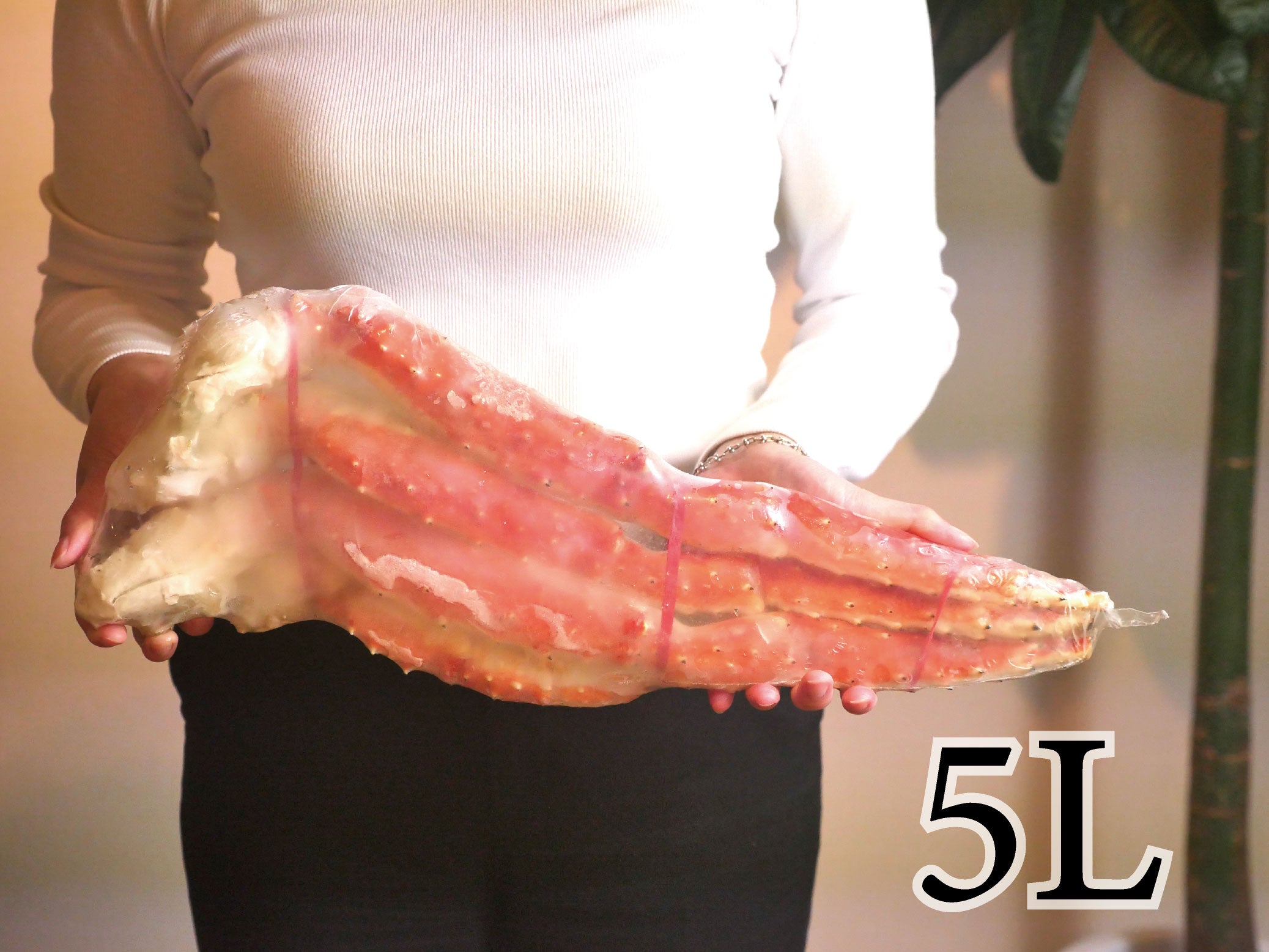 【豊洲市場直送】"特大”5Lor7Lタラバガニ1肩(グロス1kg/解凍後800gorグロス1.5kg /解凍後1.2kg)・冷凍