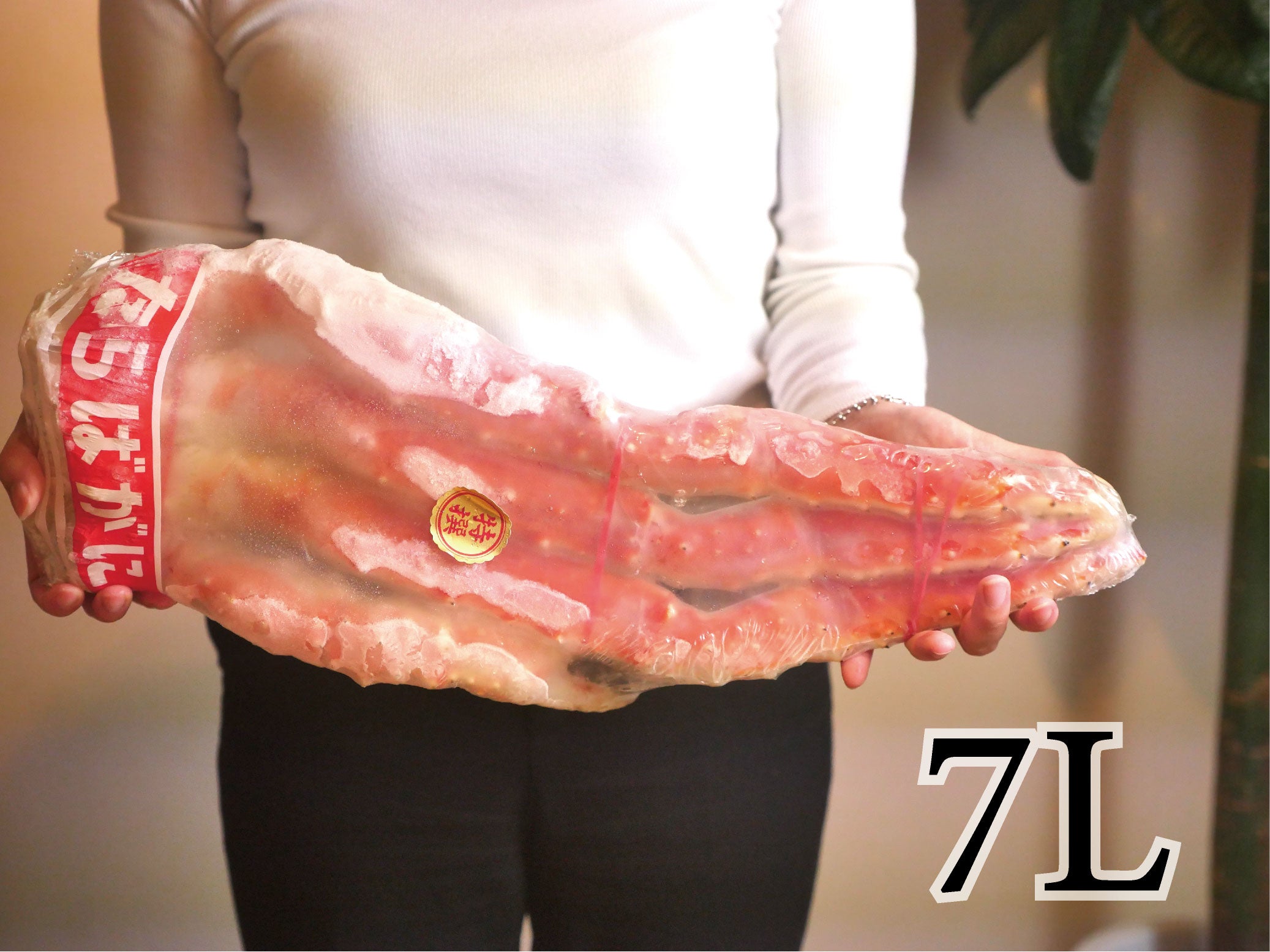 【豊洲市場直送】"特大”5Lor7Lタラバガニ1肩(グロス1kg/解凍後800gorグロス1.5kg /解凍後1.2kg)・冷凍