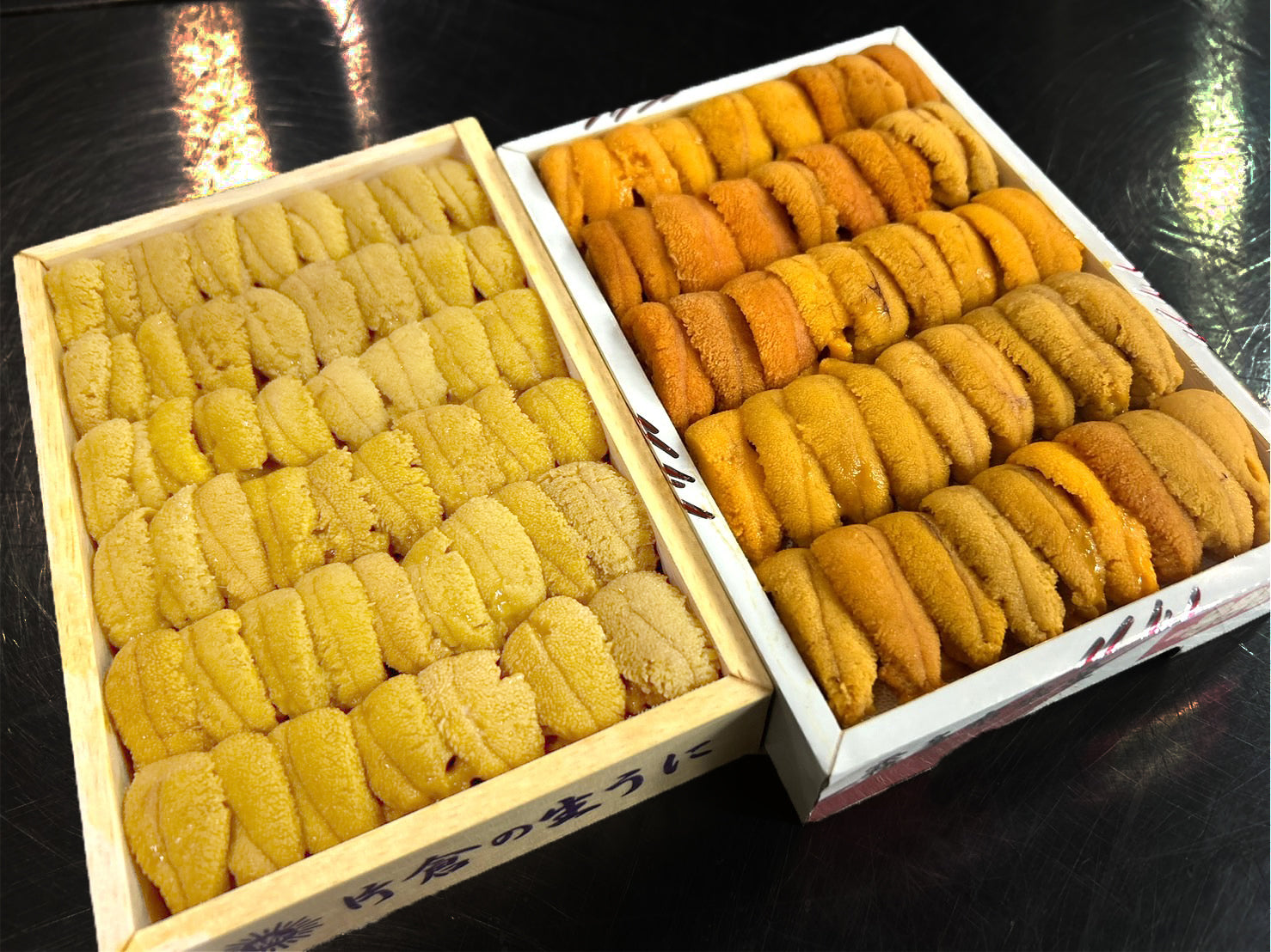 【お得!合計500g】紅白うに食べ比べセット『ムラサキウニ並びA』&『バフンウニ並びA』弁当箱・各約250g・冷蔵