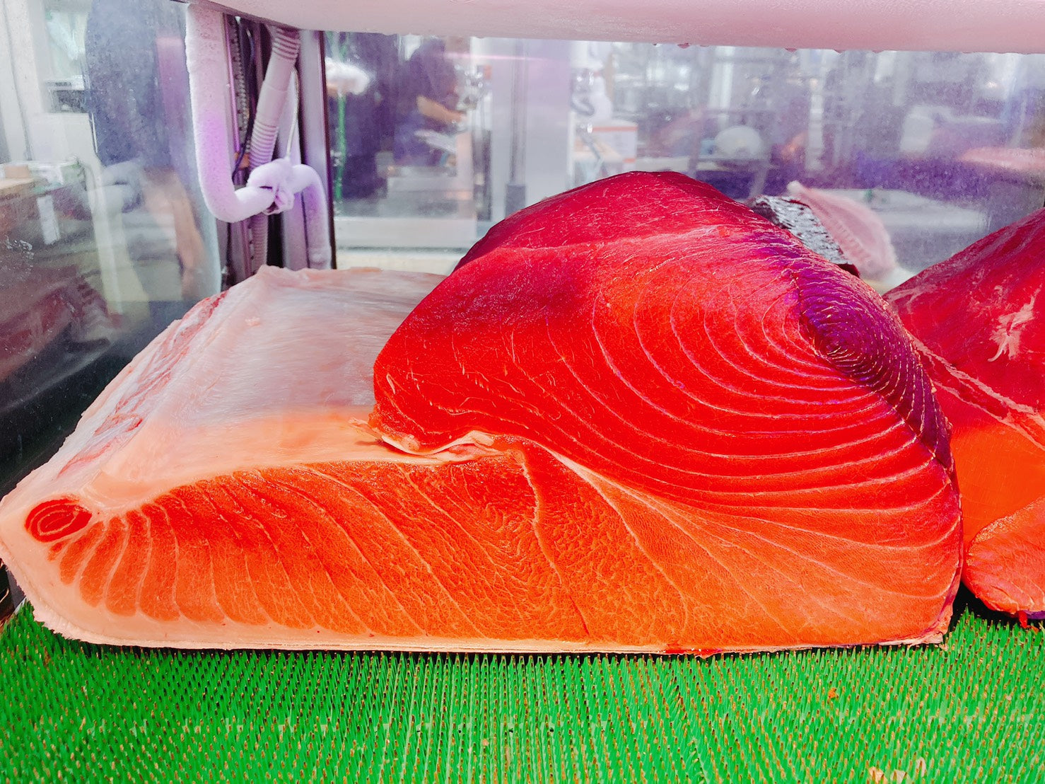 【特上】天然生本鮪(ホンマグロ)『腹』ブロック、コロ約2or4キロ 豊洲市場直送・冷蔵