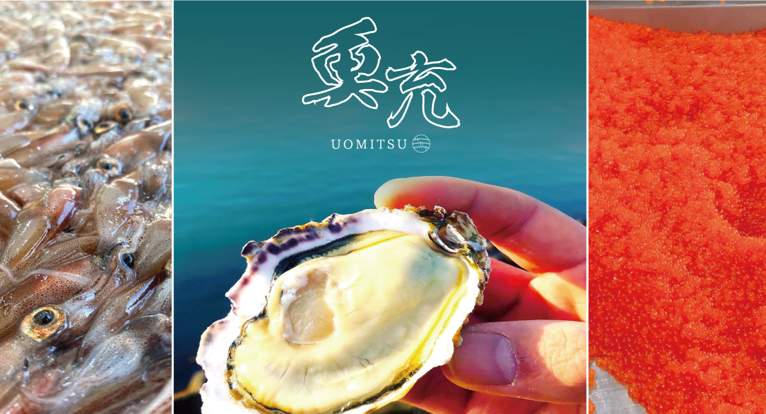 魚充人気商品ランキング