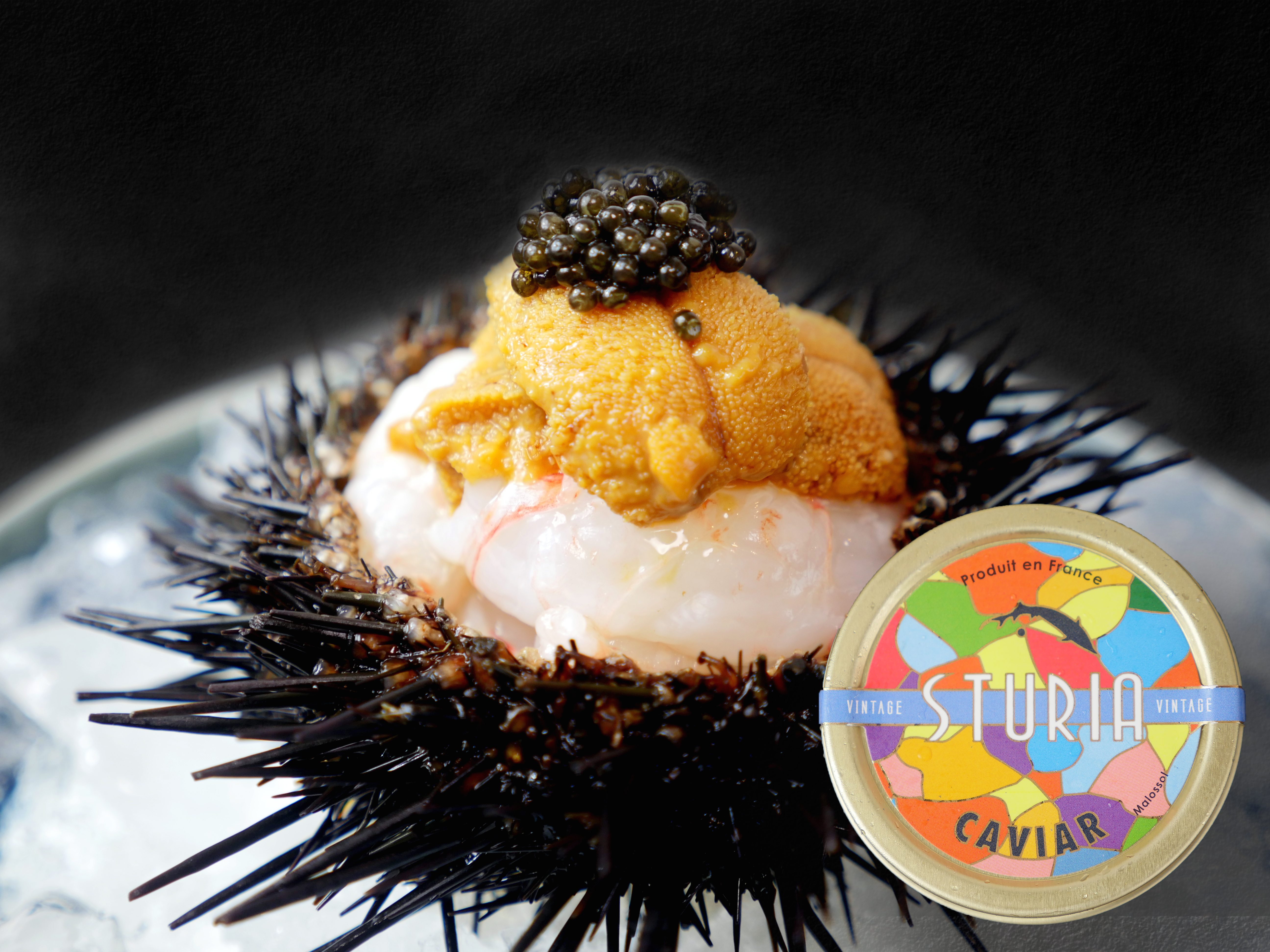 【世界最高峰キャビアSTURIA】フランス産フレッシュキャビア（非加熱）ヴィンテージ50g・冷蔵