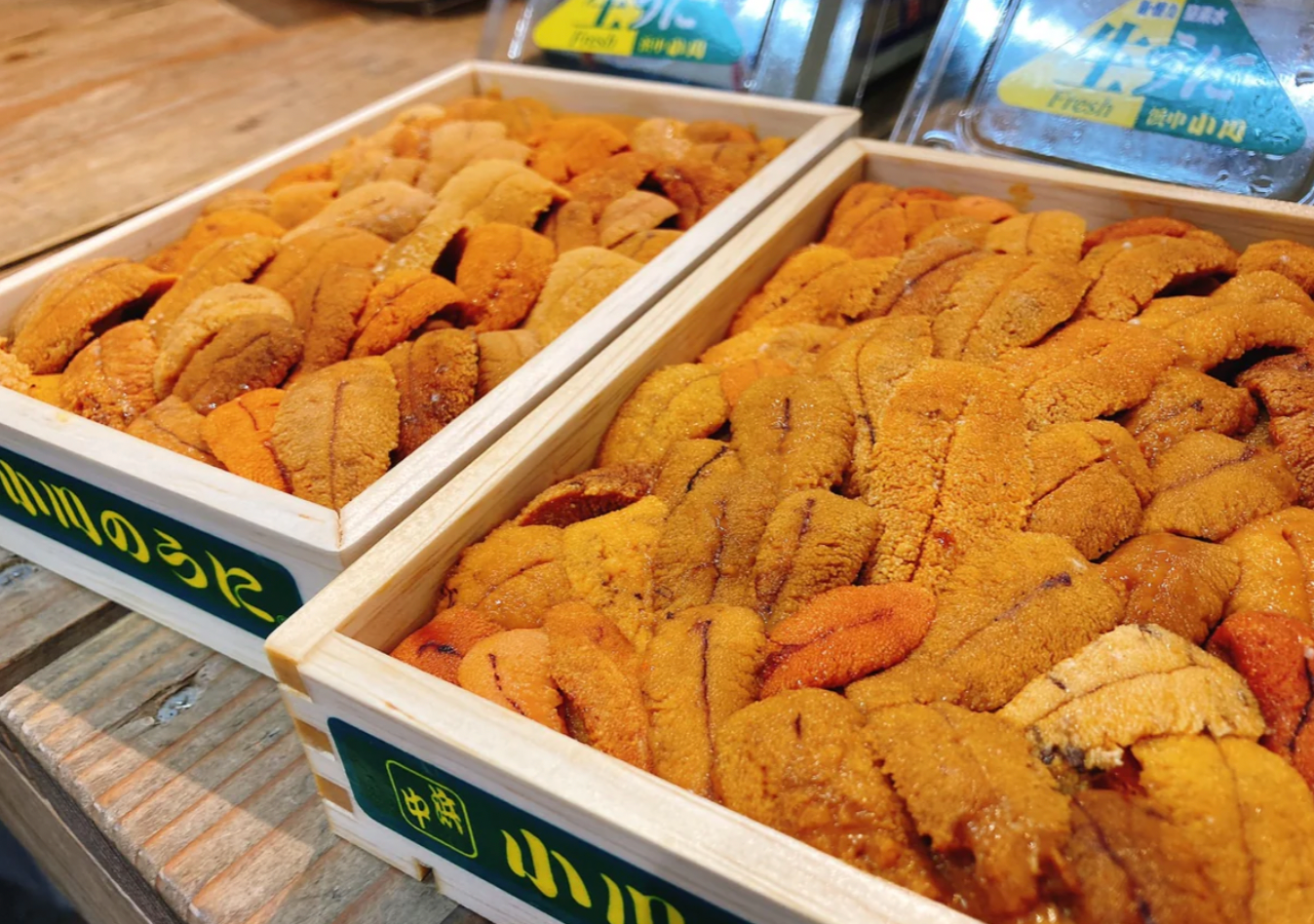 【お得！】バフンウニばら2種食べ比べセット！弁当箱・各約250g（合計500g）・冷蔵