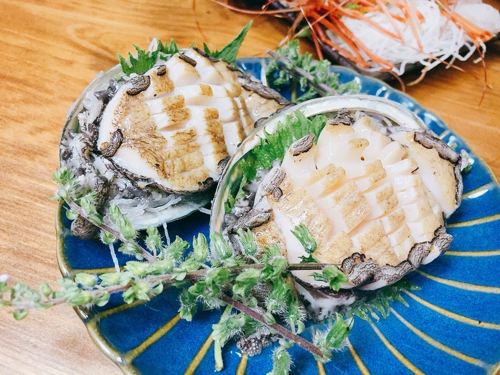 【お得！】活アワビ80-100gサイズ5-6枚 養殖活鮑（約500g）・冷蔵便