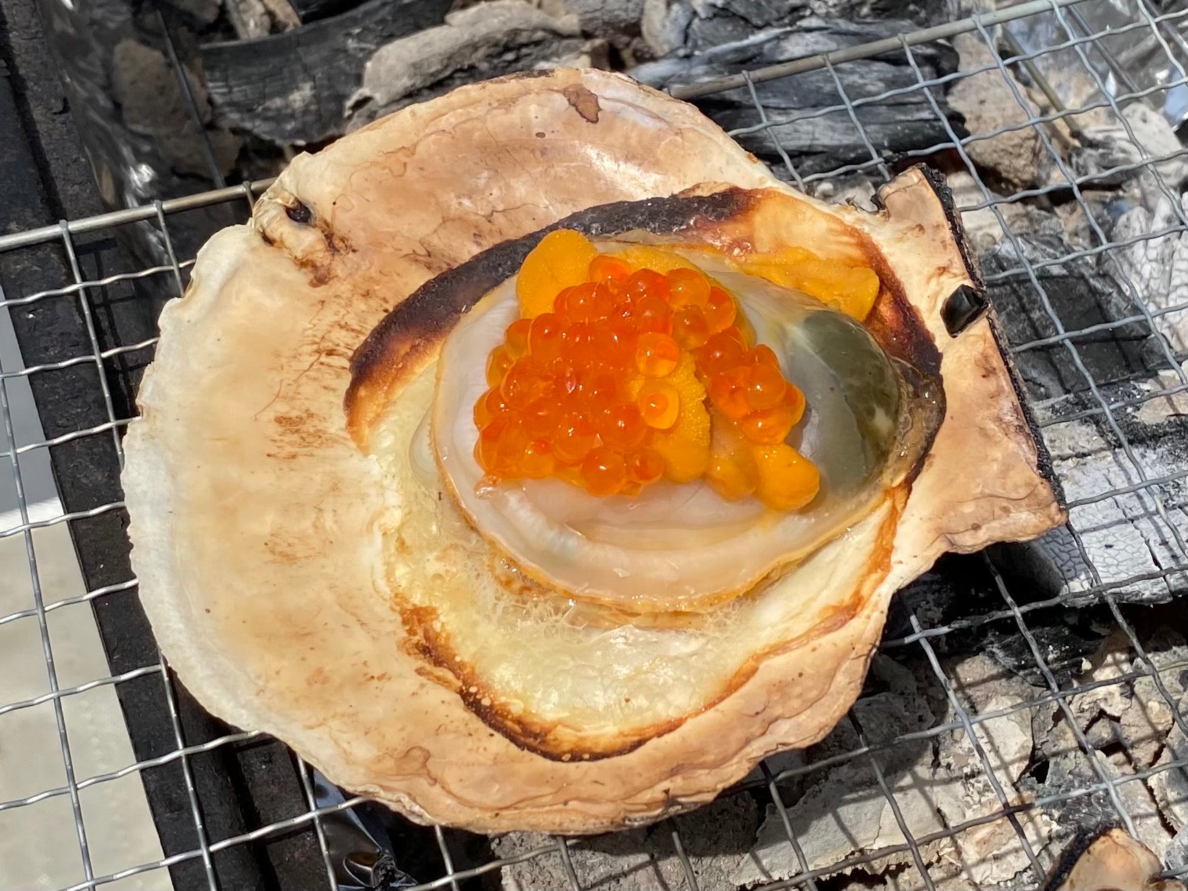 【天然・鮮度抜群】北海道産『殻付き 活ホタテ』特大サイズ 5枚(350g前後/枚) 海鮮バーベキューにも