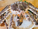 【蟹の王様】『氷締め"活"タラバガニ』北海道産 1杯 中〜特大サイズ（1kg〜3.5kg）※1〜4人前