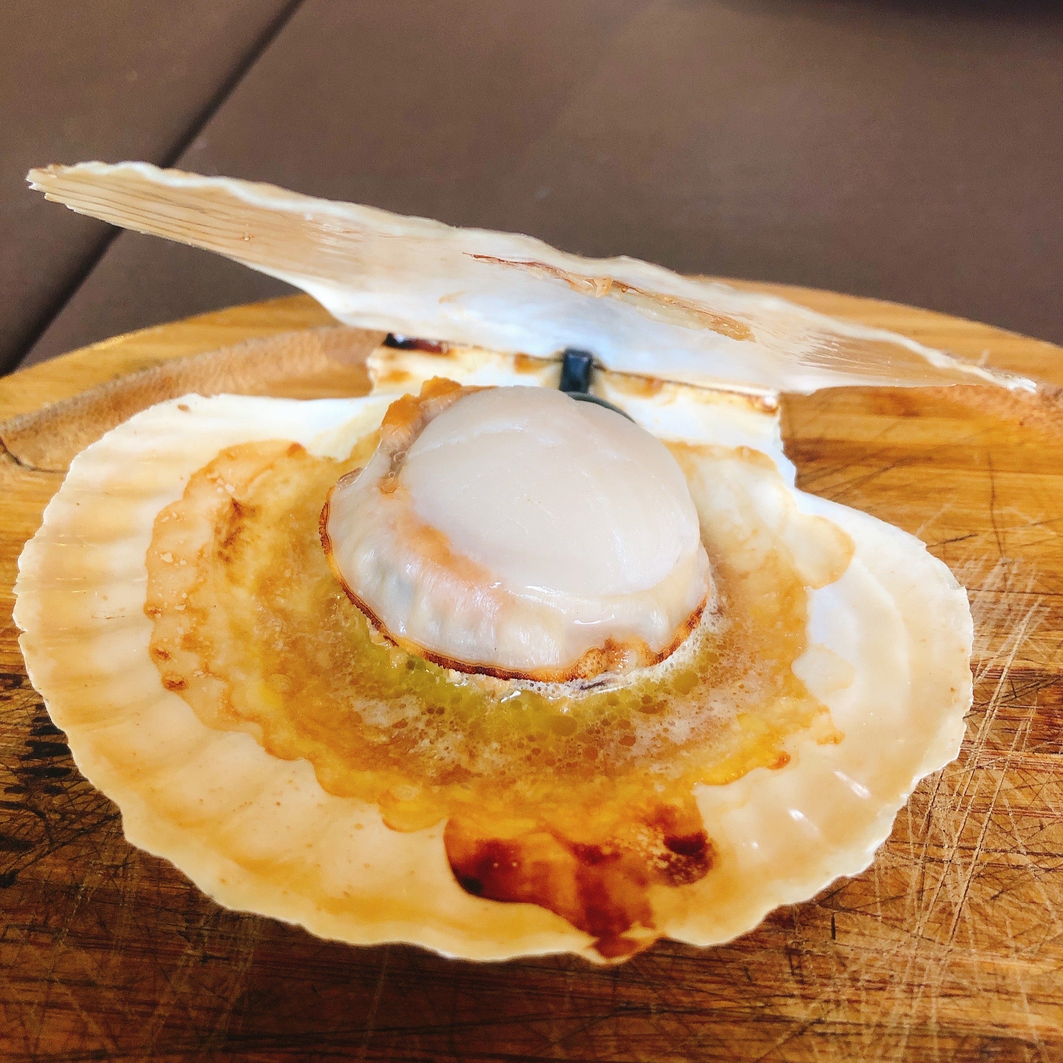 天然・鮮度抜群】北海道産『殻付き 活ホタテ』特大サイズ 5枚(350g前後/枚)