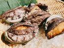 【お得！】活アワビ80-100gサイズ5-6枚 養殖活鮑（約500g）・冷蔵便