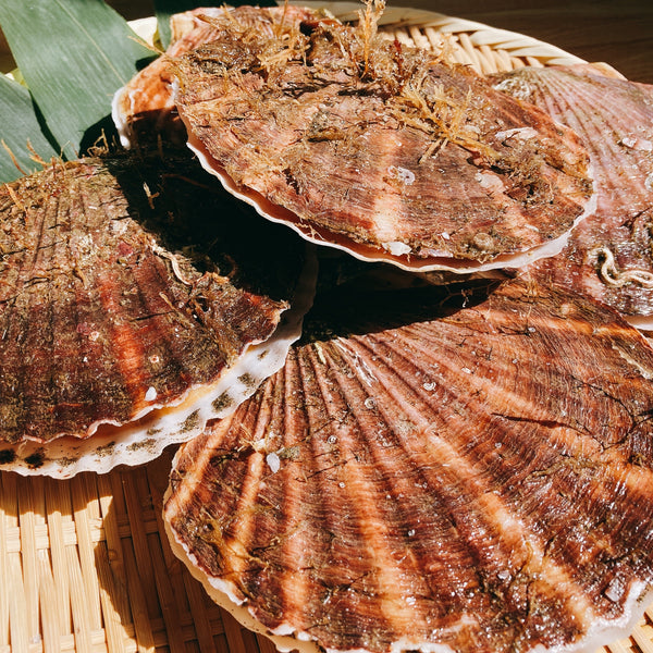 天然・鮮度抜群】北海道産『殻付き 活ホタテ』大サイズ 5枚(250g
