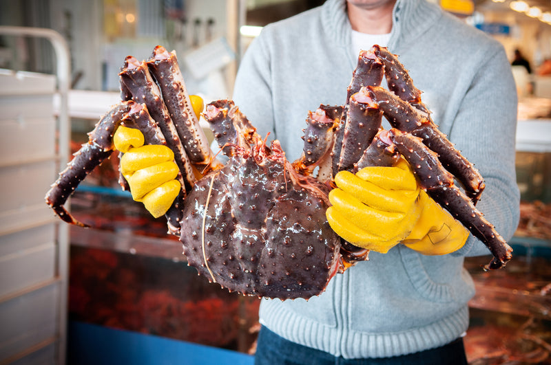 【蟹の王様】『氷締め"活"タラバガニ』北海道産 1杯 中〜特大サイズ（1kg〜3.5kg）※1〜4人前