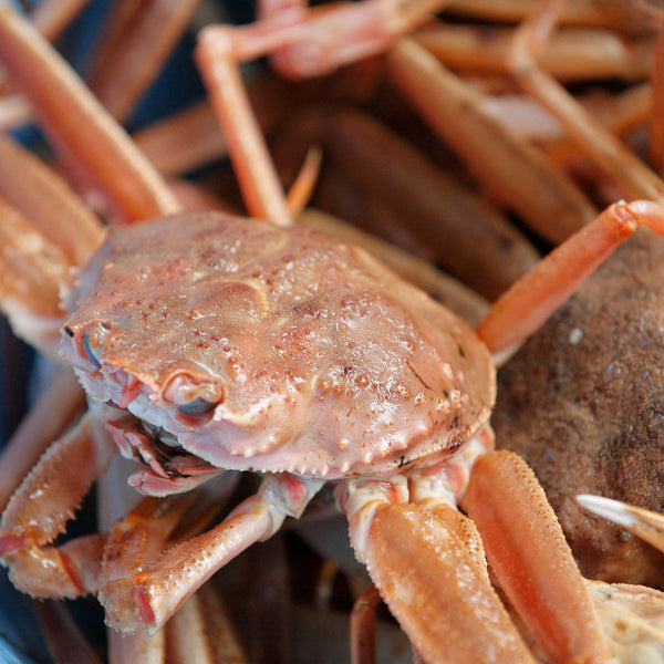 内子が旨い！】『