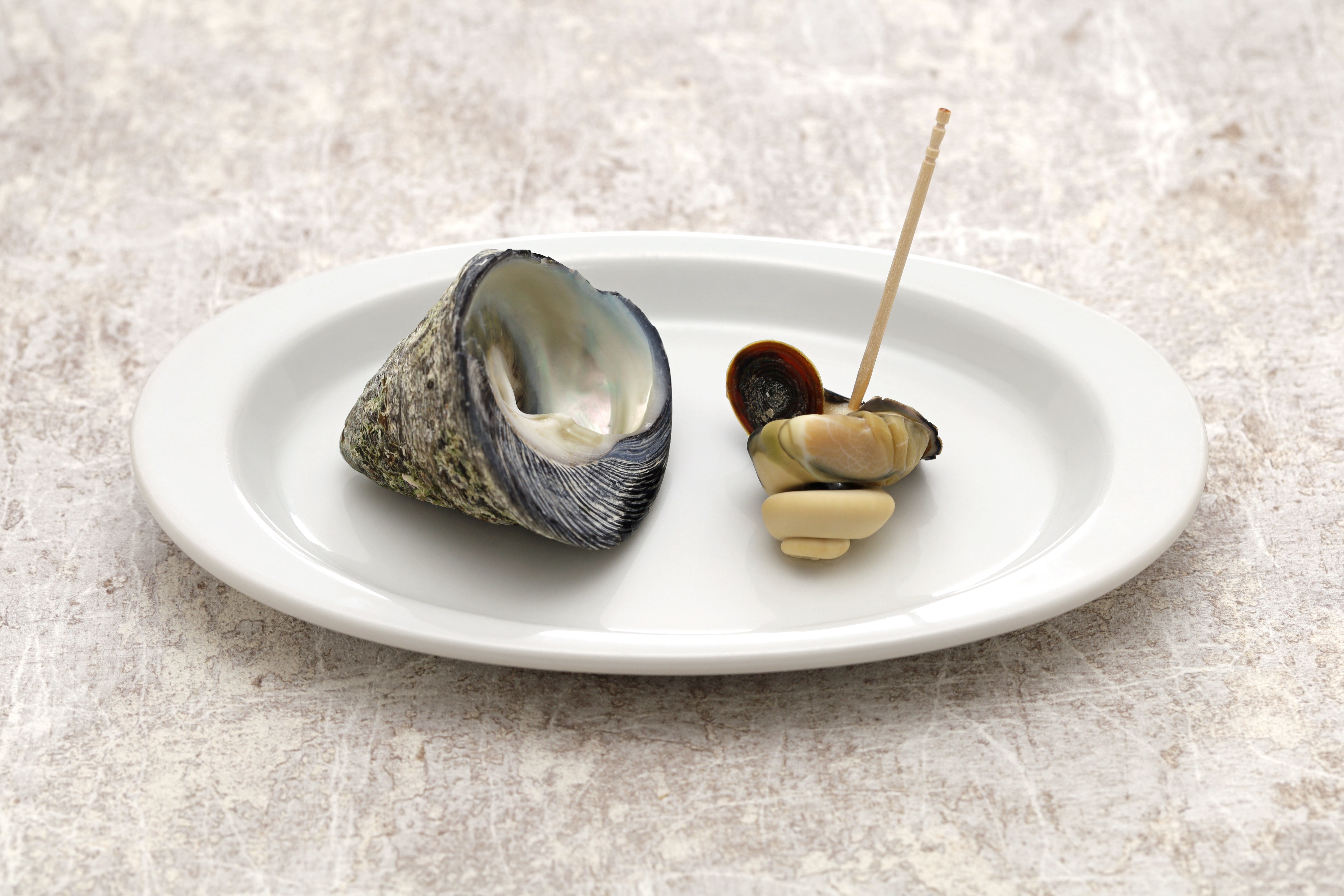 【豊洲直送】"活"尻高貝（シッタカ貝）約1キロ 珍味 お酒のつまみ 大分県産他・冷蔵