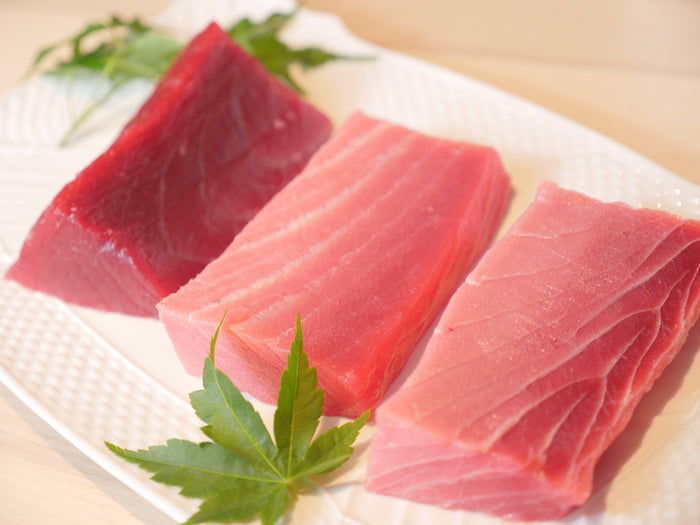 【豊洲直送】長崎産生本鮪"中トロ300g"×2、”赤身300g”×1( 養殖）豊洲市場直送・冷蔵