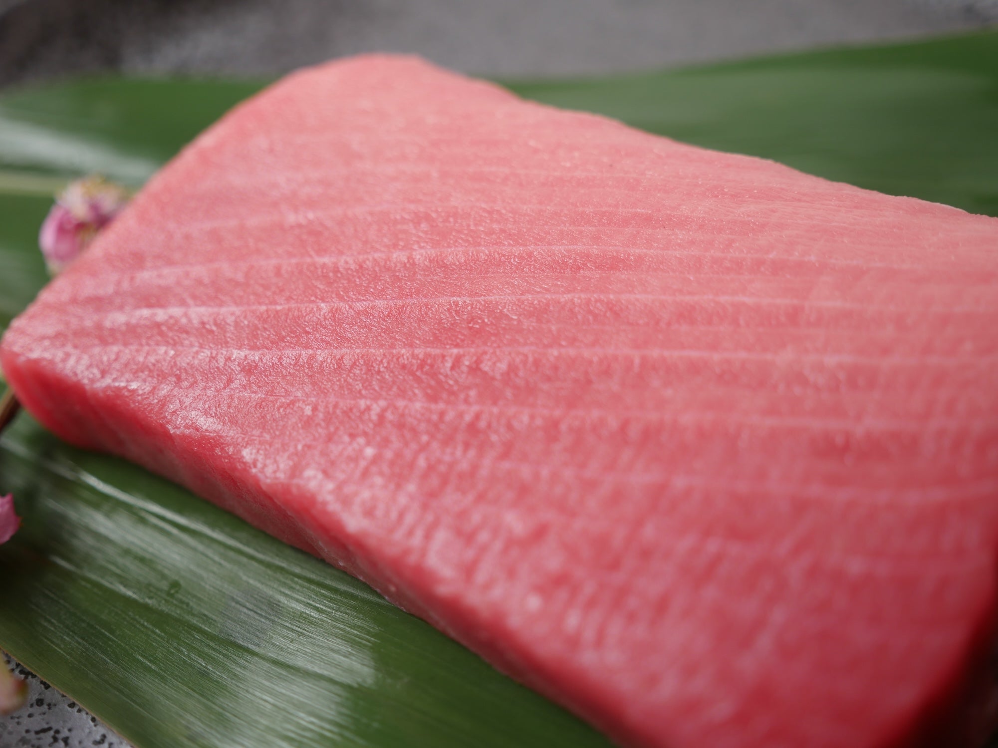 【マグロの王様】天然本鮪（ホンマグロ）中トロ200g 冷凍