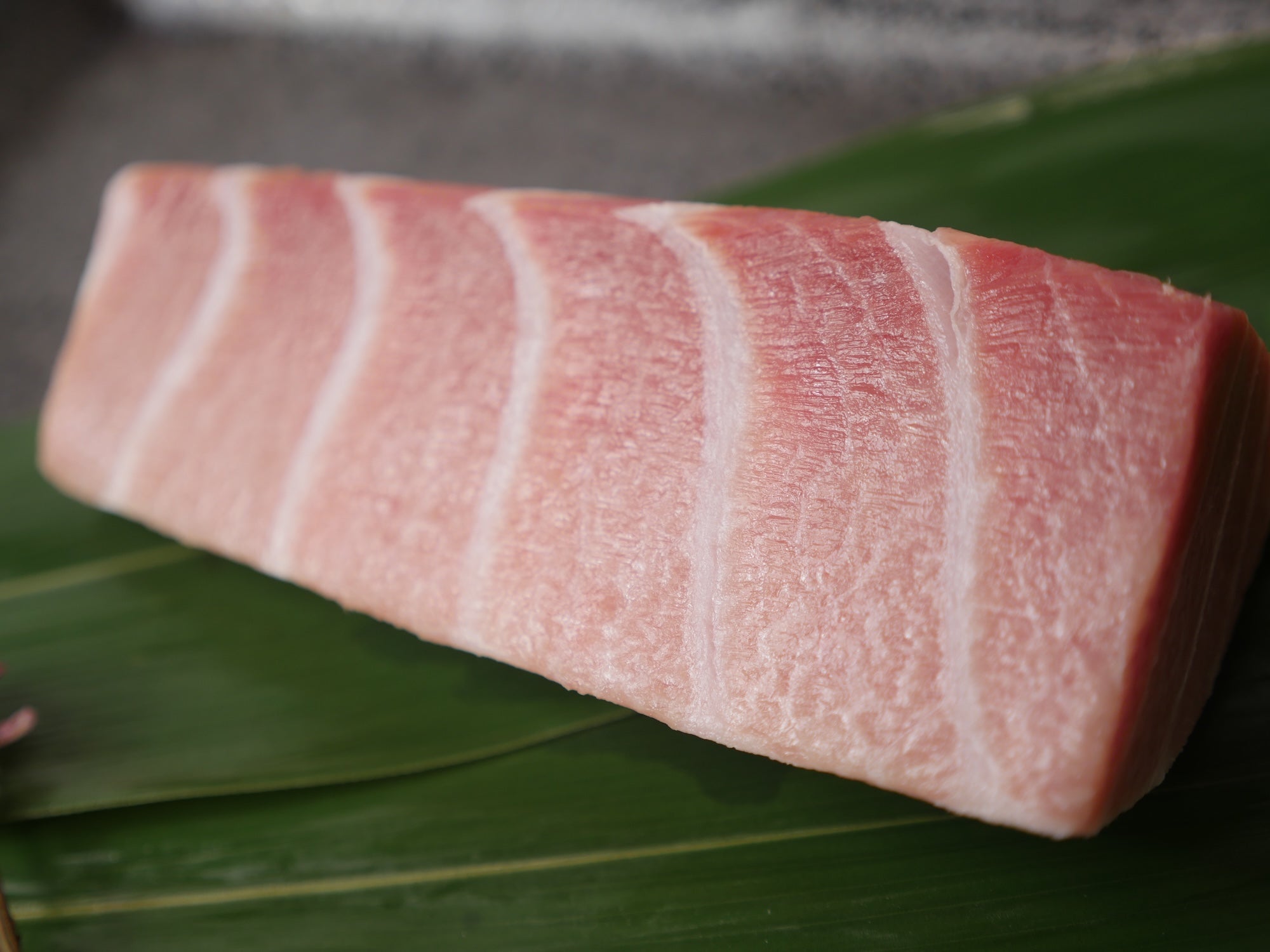 【マグロの王様】天然本鮪（ホンマグロ）大トロ200g 冷凍