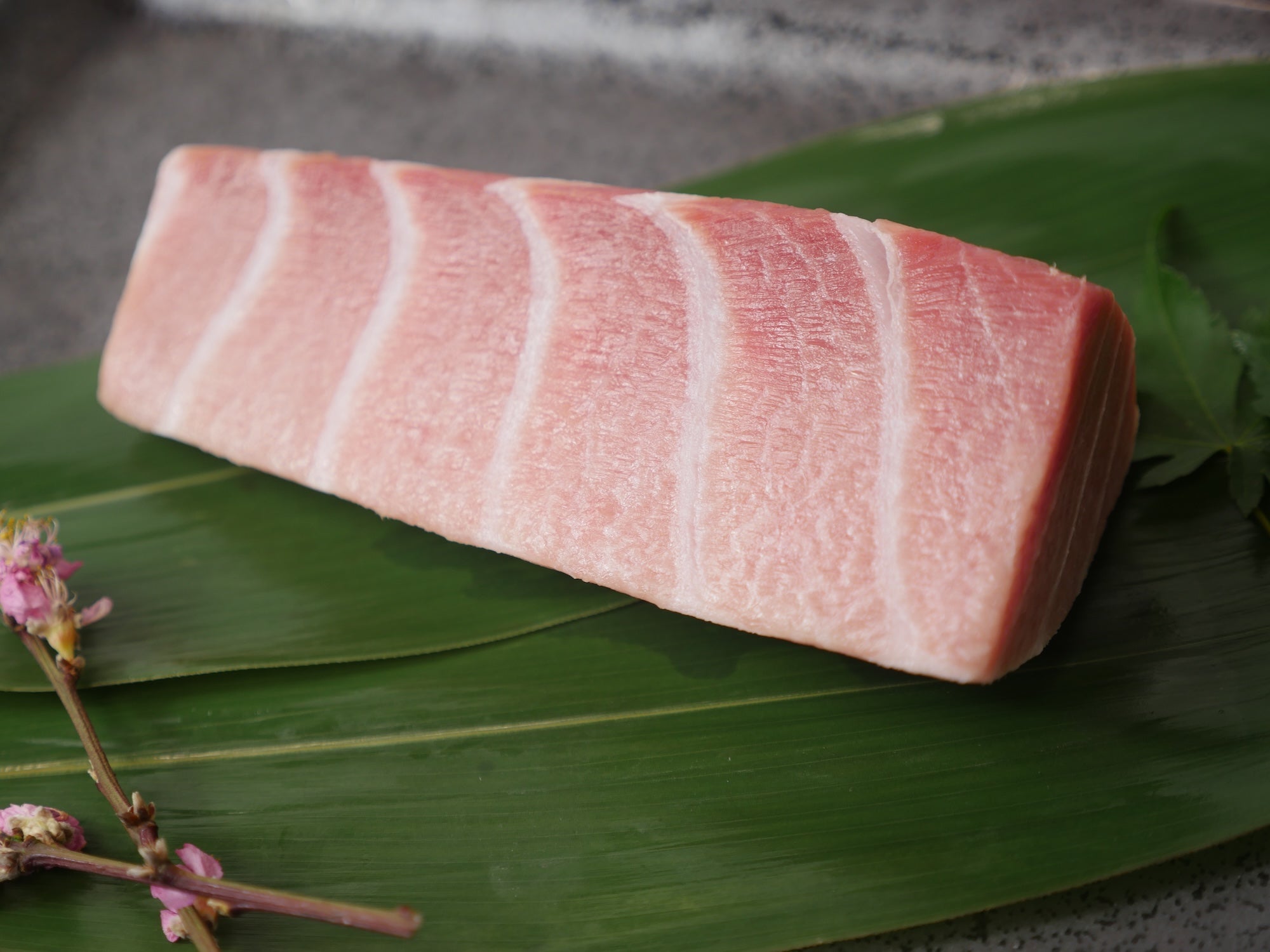 マグロの王様】天然本鮪（ホンマグロ）大トロ200g 冷凍