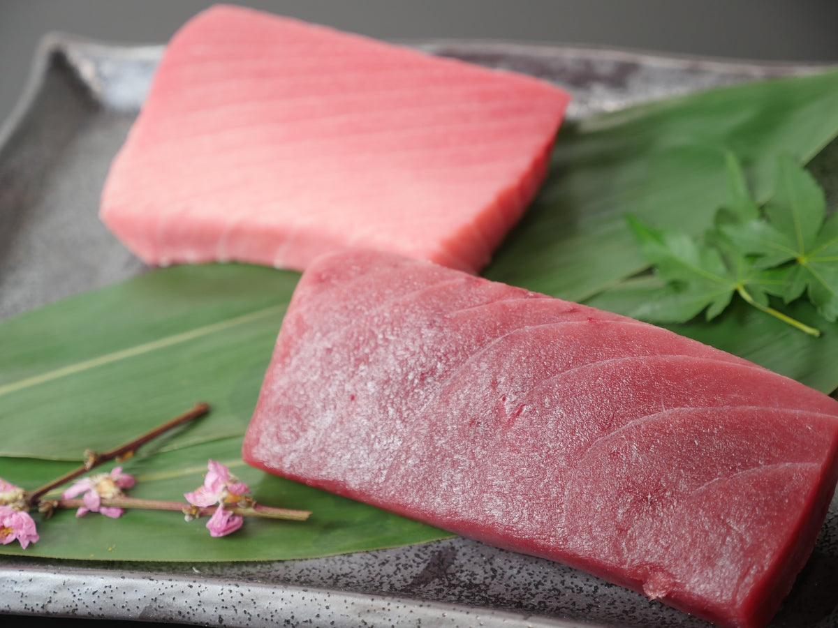冷凍 本鮪切り落とし 赤身と中トロ各 500g×2パックセット noa2021様 生」本まぐろ【鮪錦】柵 大トロ中トロ赤身セット 500g | e