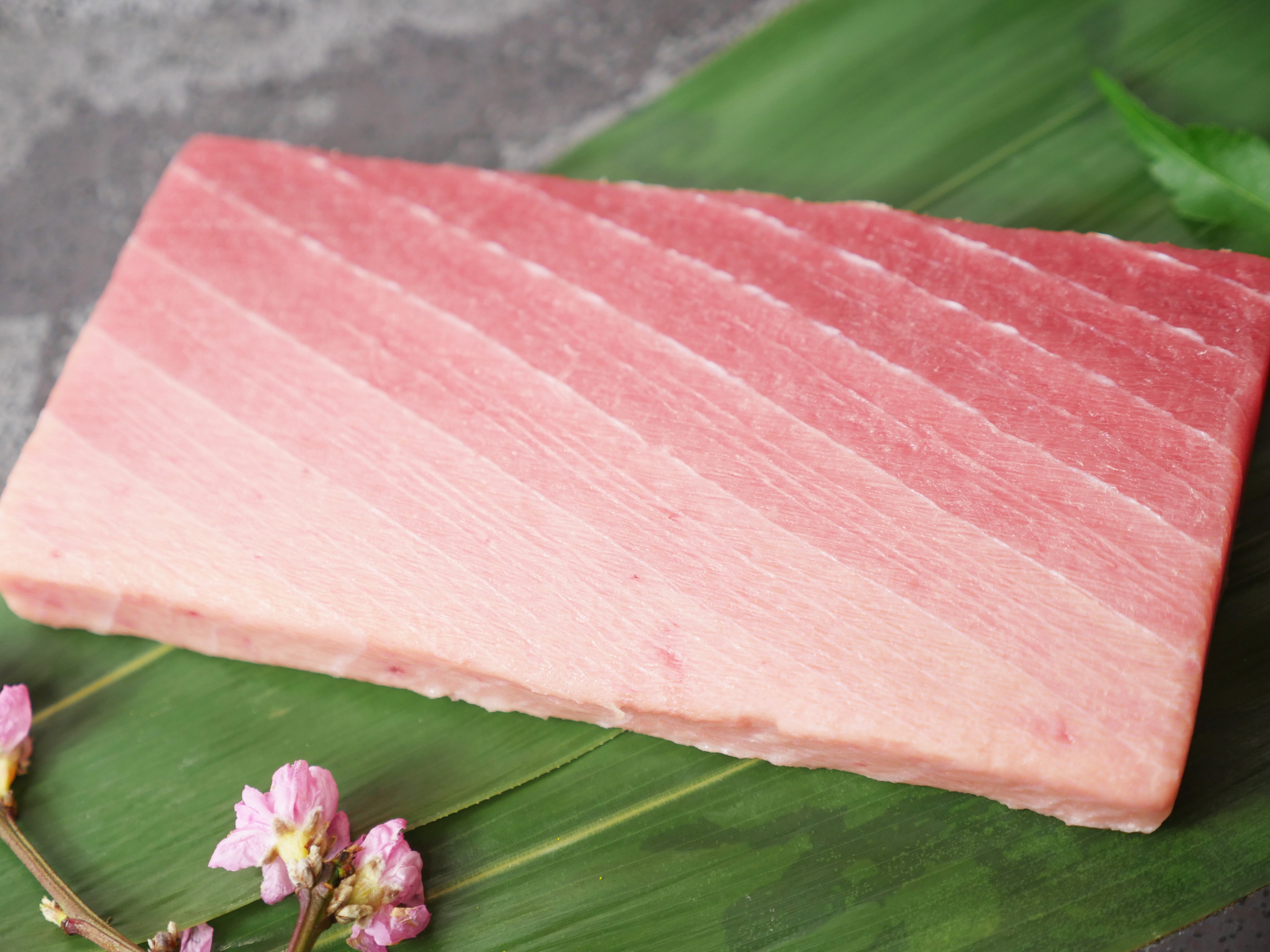 【訳あり】天然ミナミマグロ（インドマグロ） 中トロ約500g（250g×2）・ 冷凍