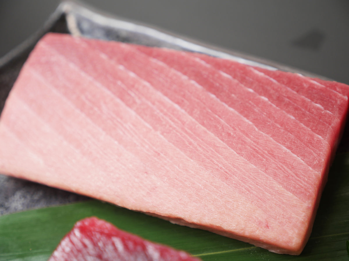 訳あり】天然ミナミマグロ（インドマグロ） 中トロ約500g（250g×2）・ 冷凍