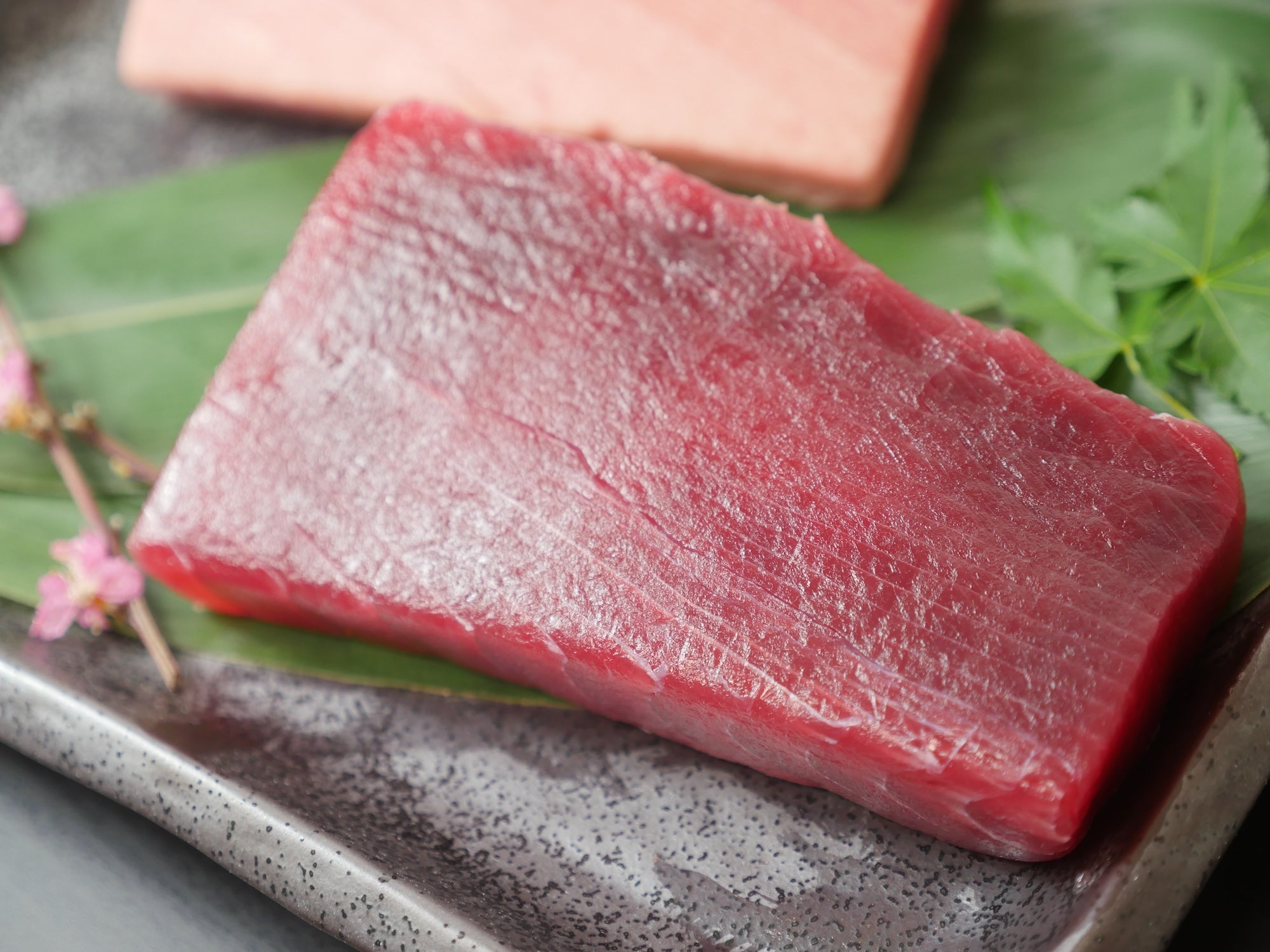【訳あり】天然ミナミマグロ（インドマグロ） 赤身約500g（250g×2）・ 冷凍