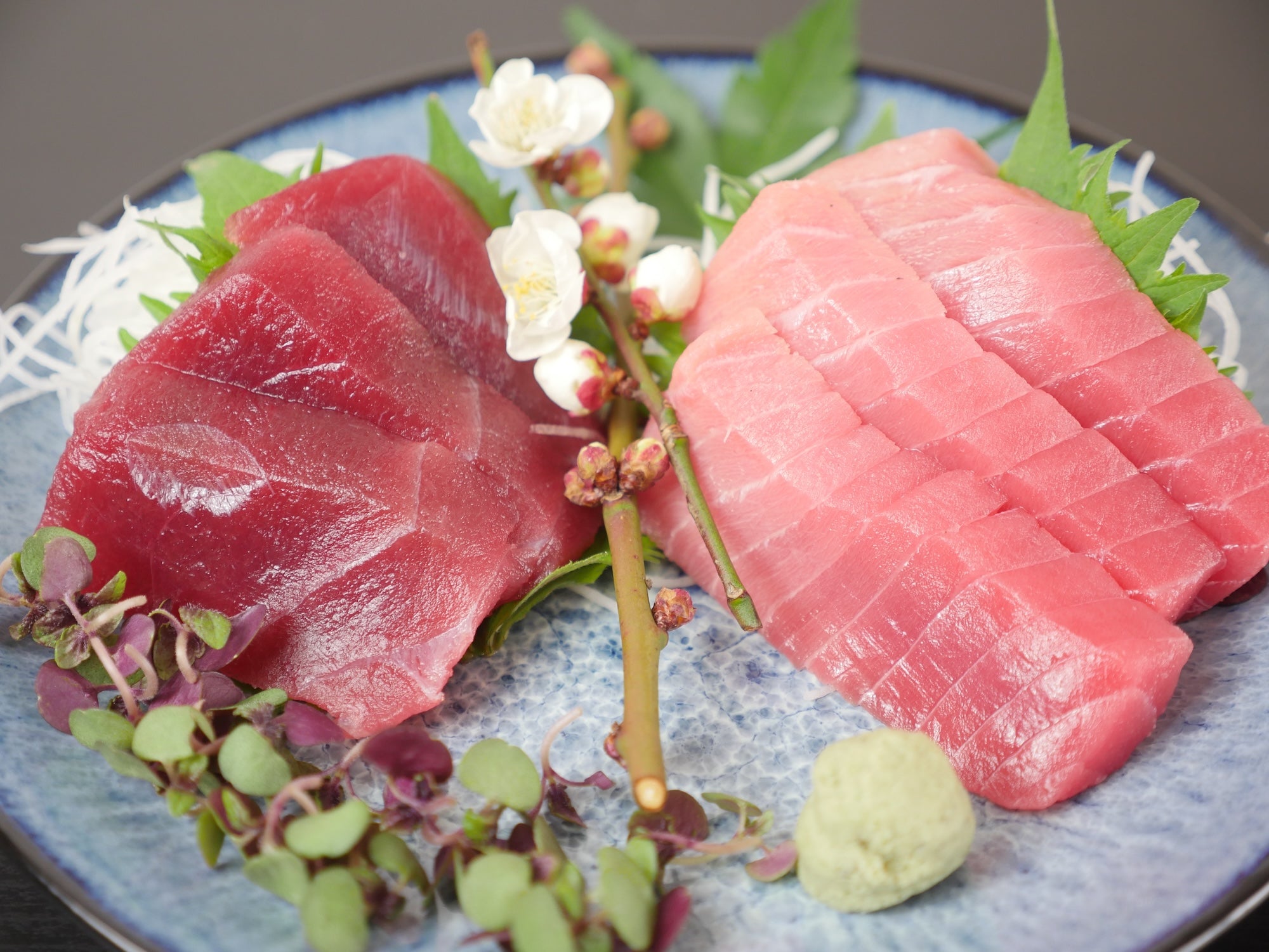 【マグロの王様】天然本鮪 赤身・中トロセット(200g×2) 冷凍