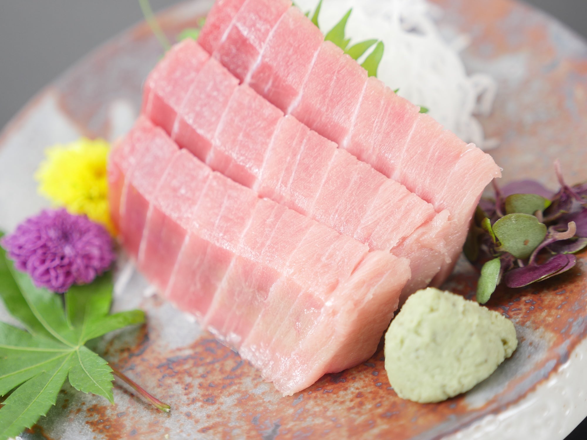【訳あり】天然ミナミマグロ（インドマグロ） 中トロ約500g（250g×2）・ 冷凍