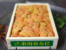 【小川のウニ】「バフンウニ」バラ（約250g）弁当箱 豊洲市場直送・冷蔵