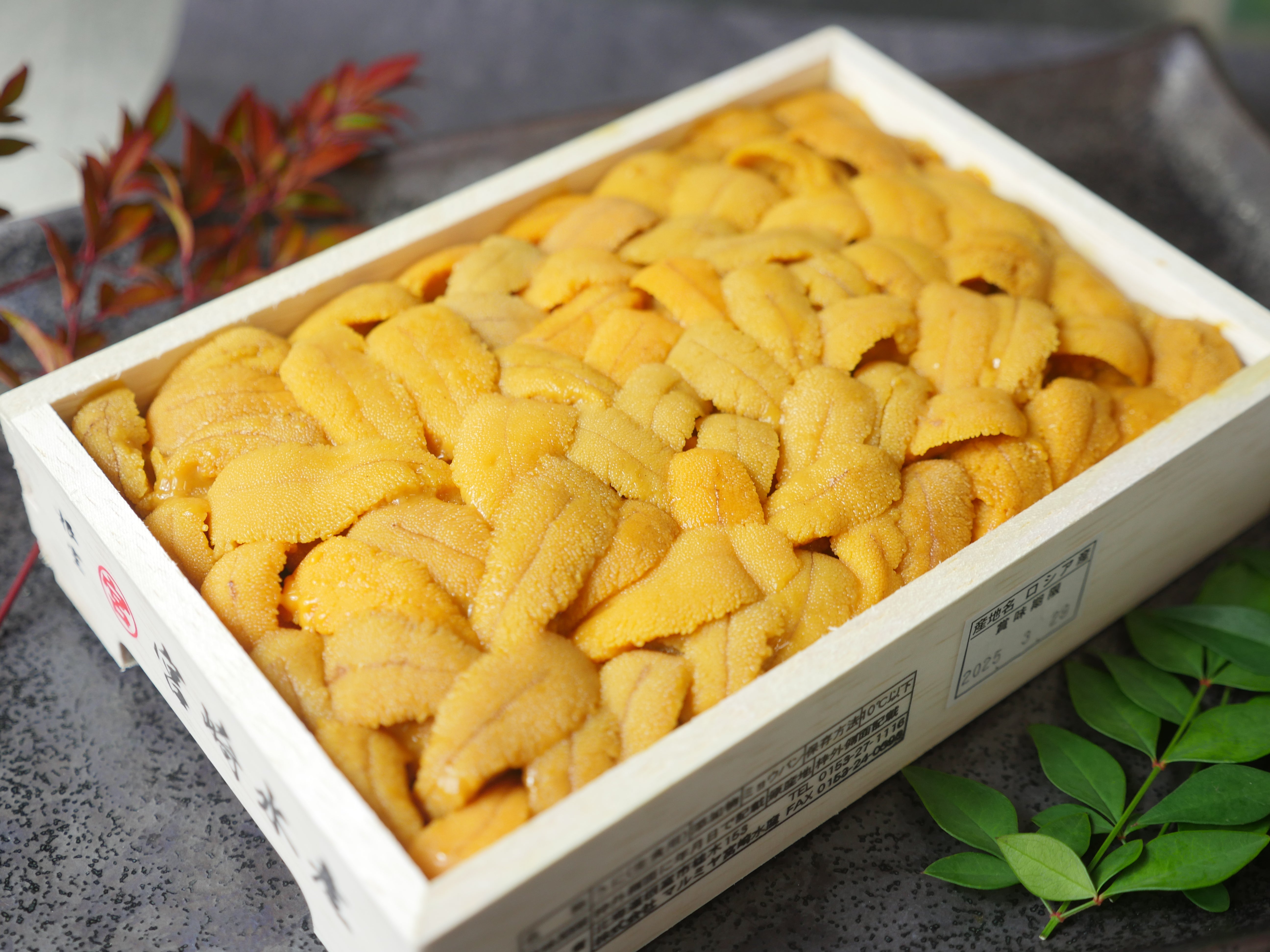 【豊洲市場直送】『バフンウニ』バラA品（約250g）弁当箱 ・冷蔵
