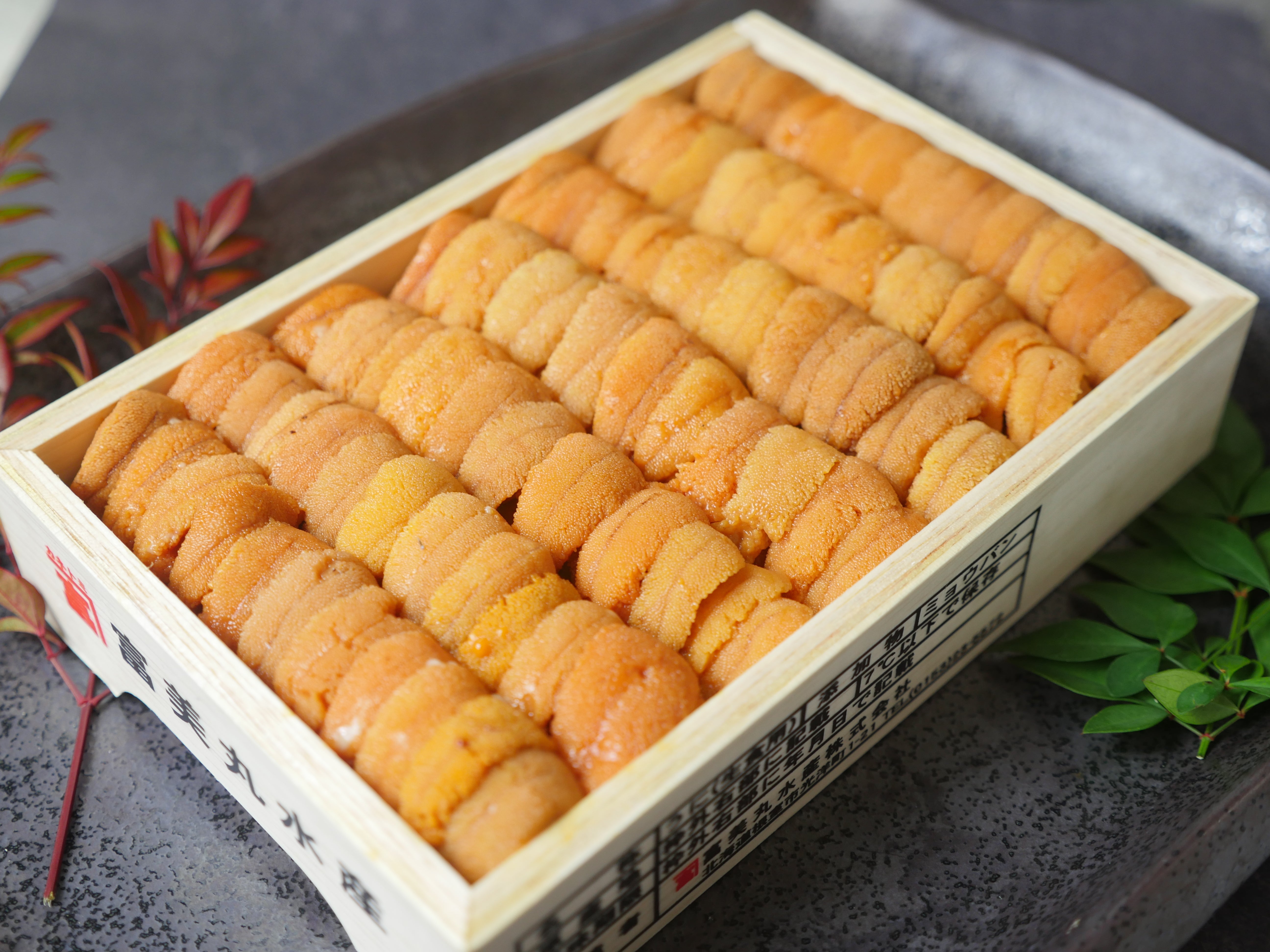 【豊洲市場直送】『バフンウニ』並びA品（約250g）弁当箱 ・冷蔵