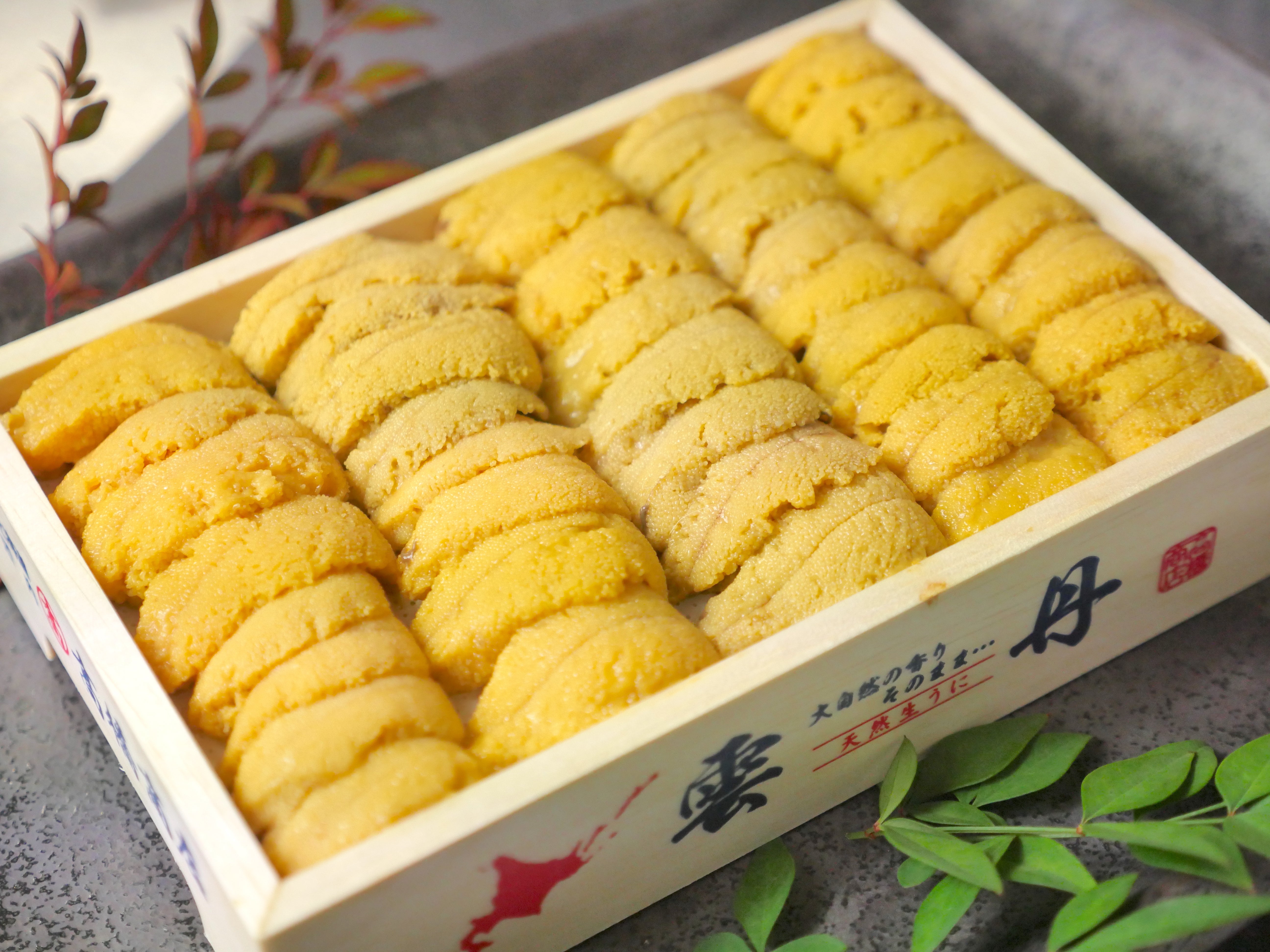 豊洲直送】旬の『キタムラサキウニ（白雲丹）』並びA品（約250g）弁当