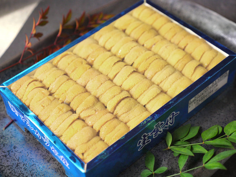 【ミョウバン不使用】無添加『ムラサキウニ』"並び"A品（約250g）化粧箱 ・冷蔵