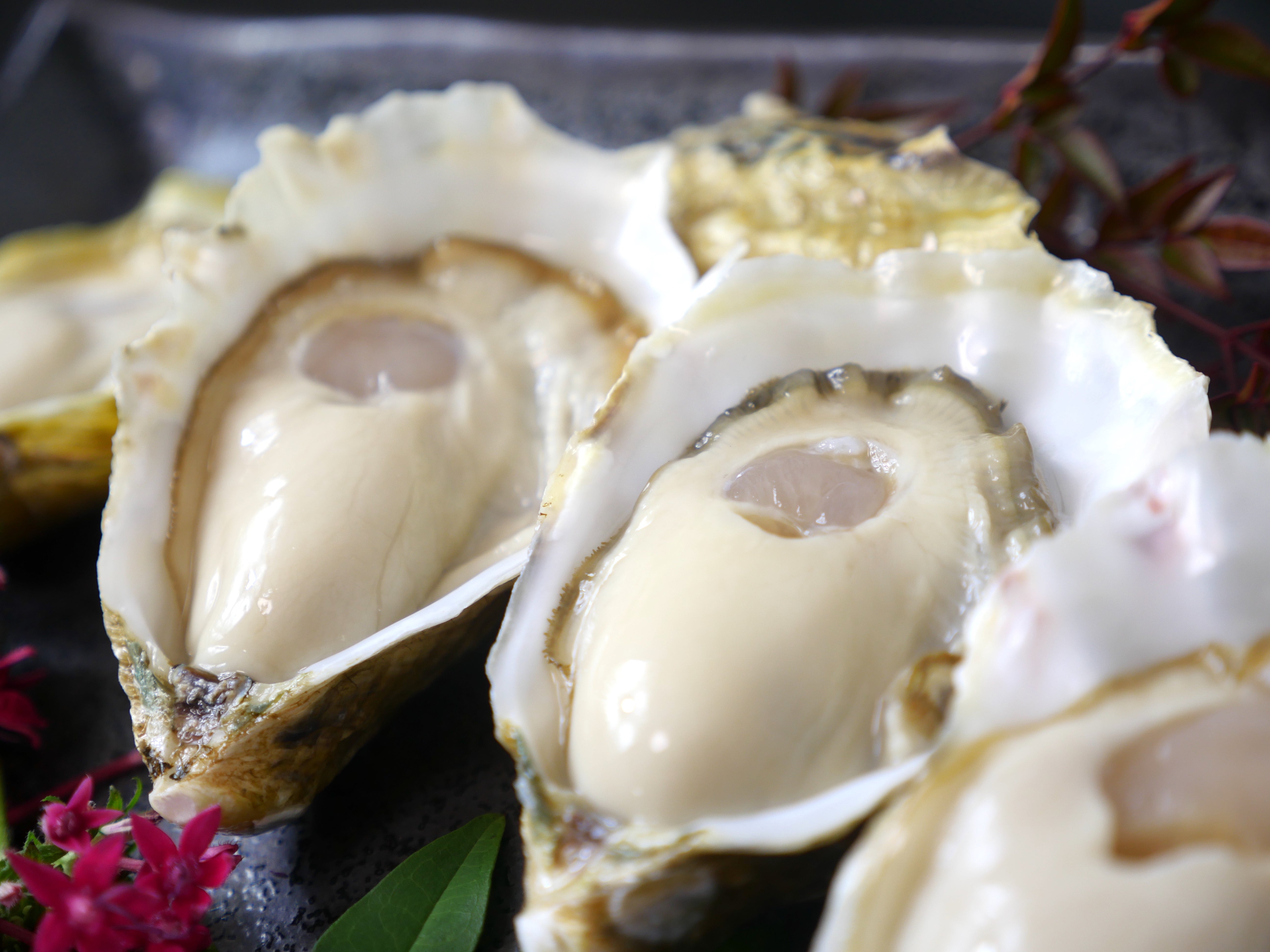 【豊洲直送】真牡蠣"華蓮"（かれん）長崎県小長井産 10個（50-80g/1個） ・冷蔵