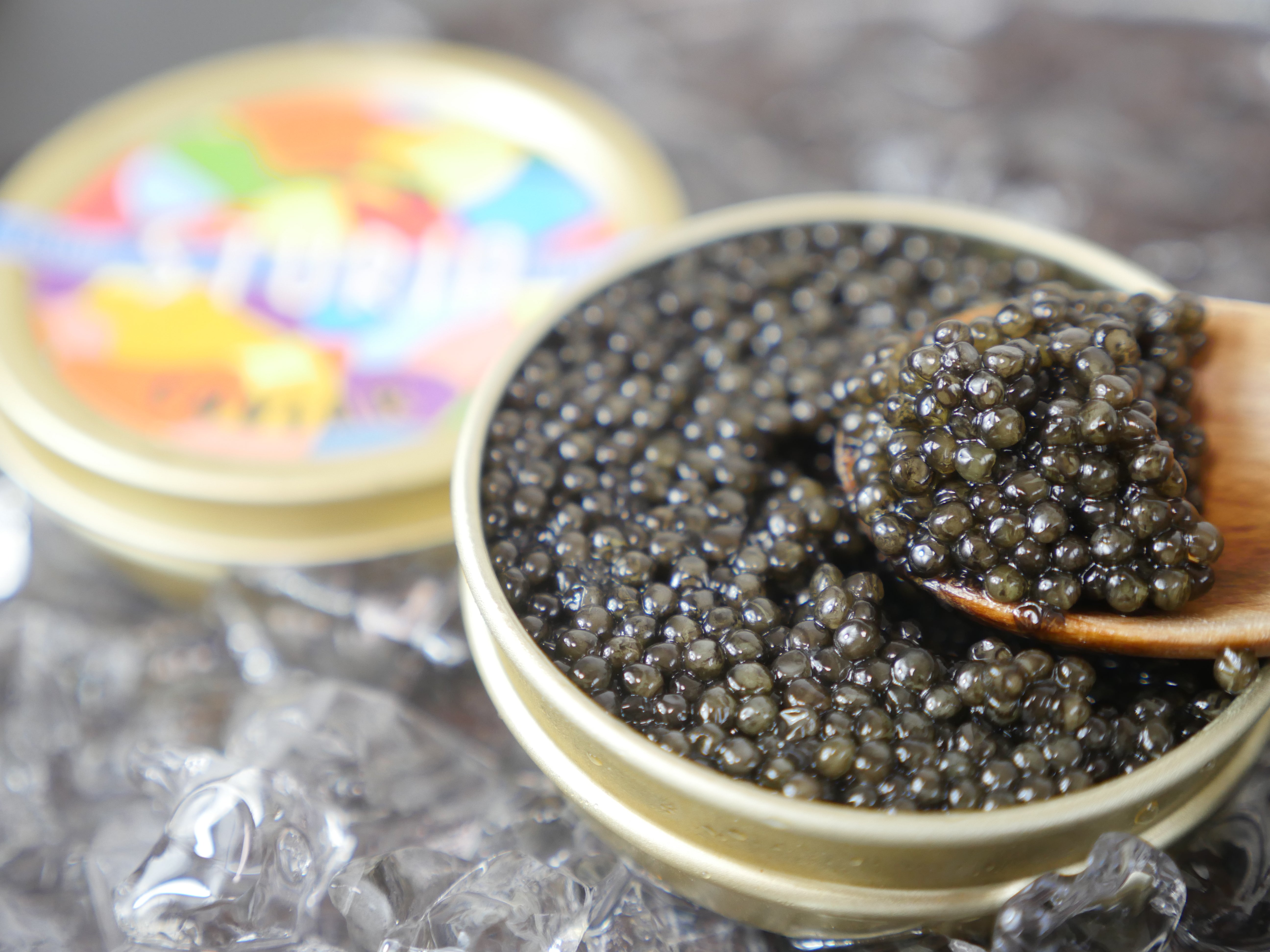 【世界最高峰キャビアSTURIA】フランス産フレッシュキャビア（非加熱）ヴィンテージ50g・冷蔵