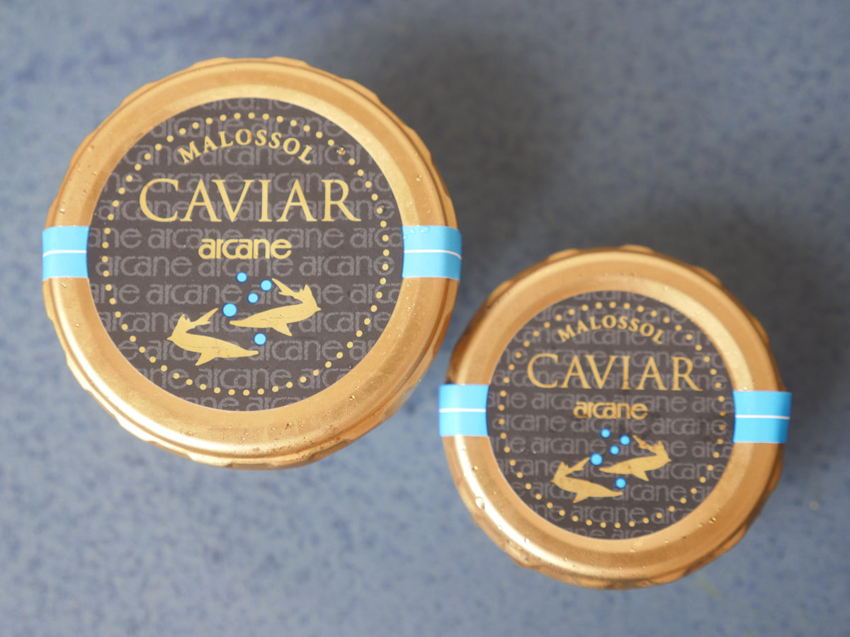 STURGEON フランス産キャビア オシェトラ18g or 50g・冷蔵