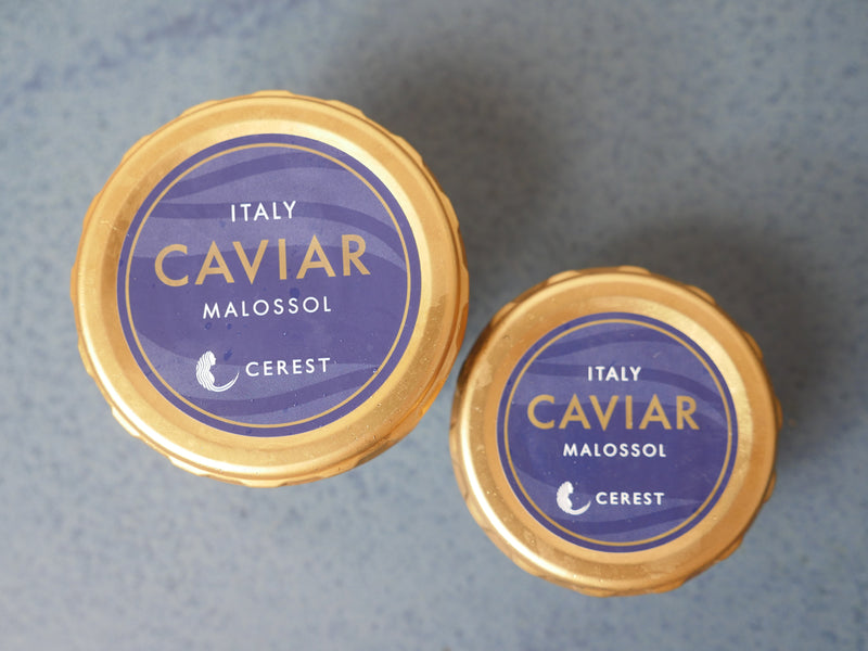 イタリア産パストライズキャビア（低温殺菌）18g or 50g・冷蔵