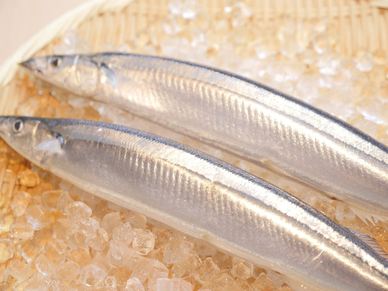【超特大】『秋刀魚（さんま）』 約2kg10尾or約1kg5尾（200g前後／尾） 北海道産・冷蔵