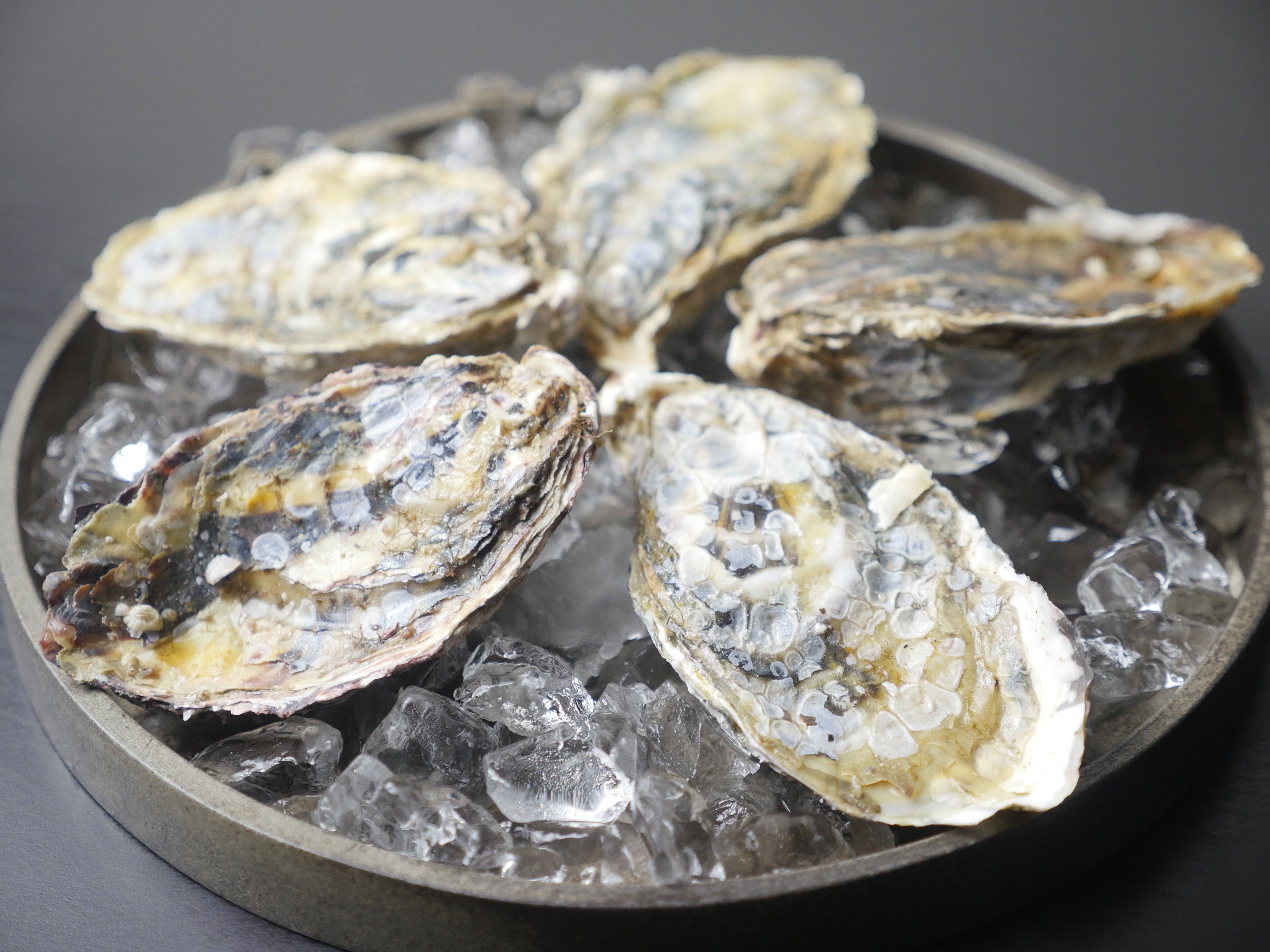 【クリーミーな旨味】『厚岸（あっけし）殻付き牡蠣』L or 2Lサイズ 5個 生食用・冷蔵