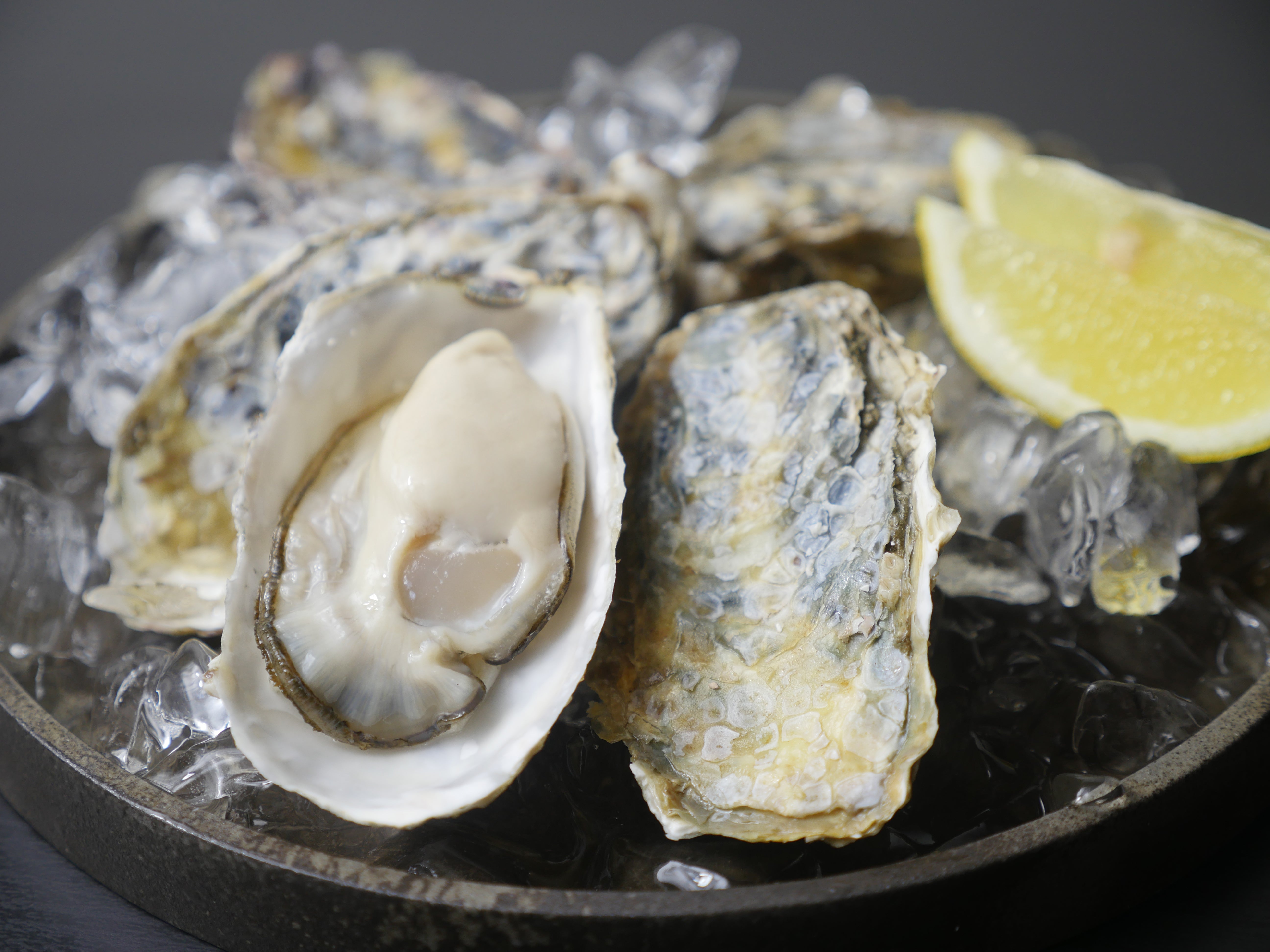 【クリーミーな旨味】『厚岸（あっけし）殻付き牡蠣』L or 2Lサイズ 5個 生食用・冷蔵