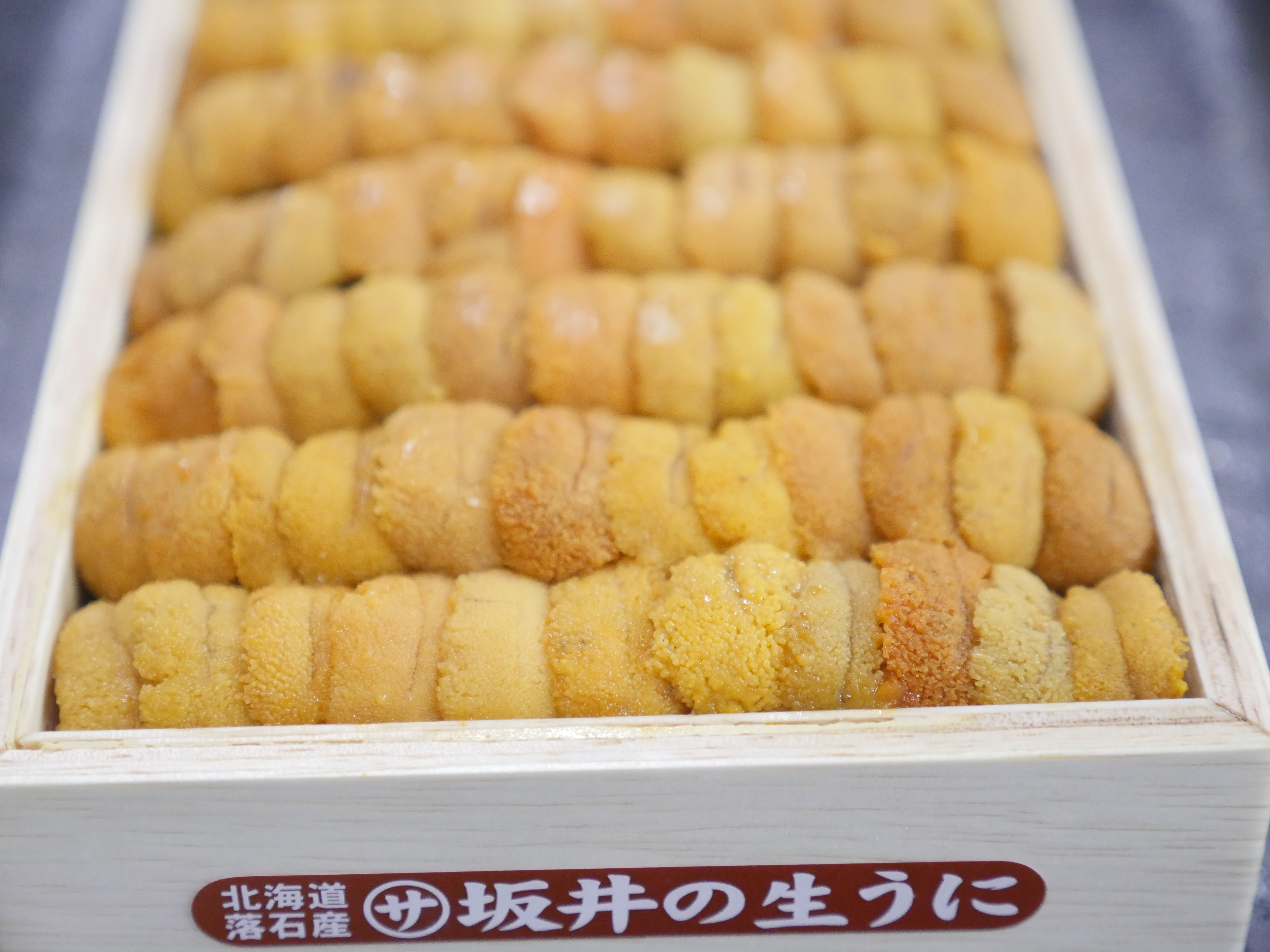 【産地限定】北海道産「エゾバフンウニ」並び 弁当箱 A品（約250g）豊洲市場直送・冷蔵