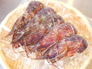 【急速冷凍】大サイズ！幻の海老"ぶどうえび"最も希少な海老をご自宅で。約300g（1尾約60g・5尾） ・冷凍