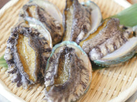 【お得！】活アワビ80-100gサイズ5-6枚 養殖活鮑（約500g）・冷蔵便